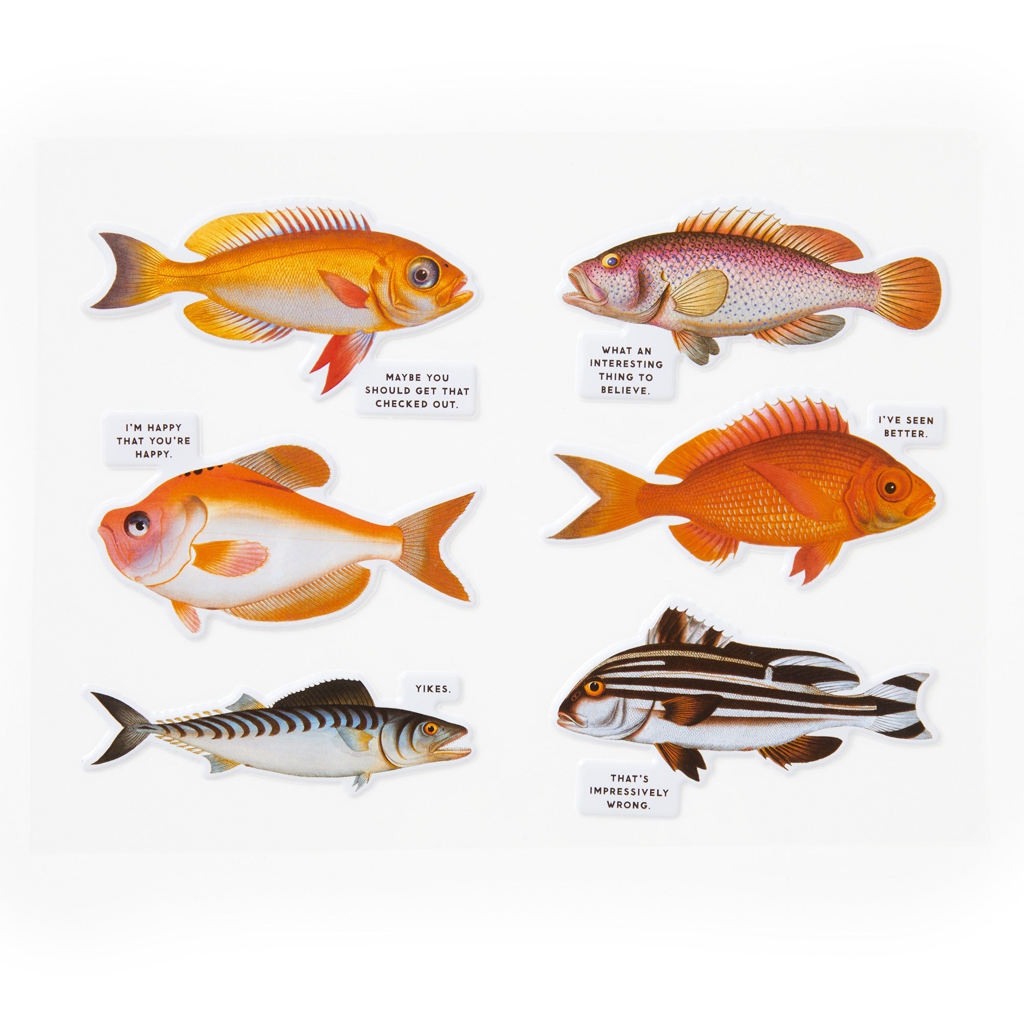 galison-judgy-fish-1000-teile-puzzle-fische-mit-stickern image 5