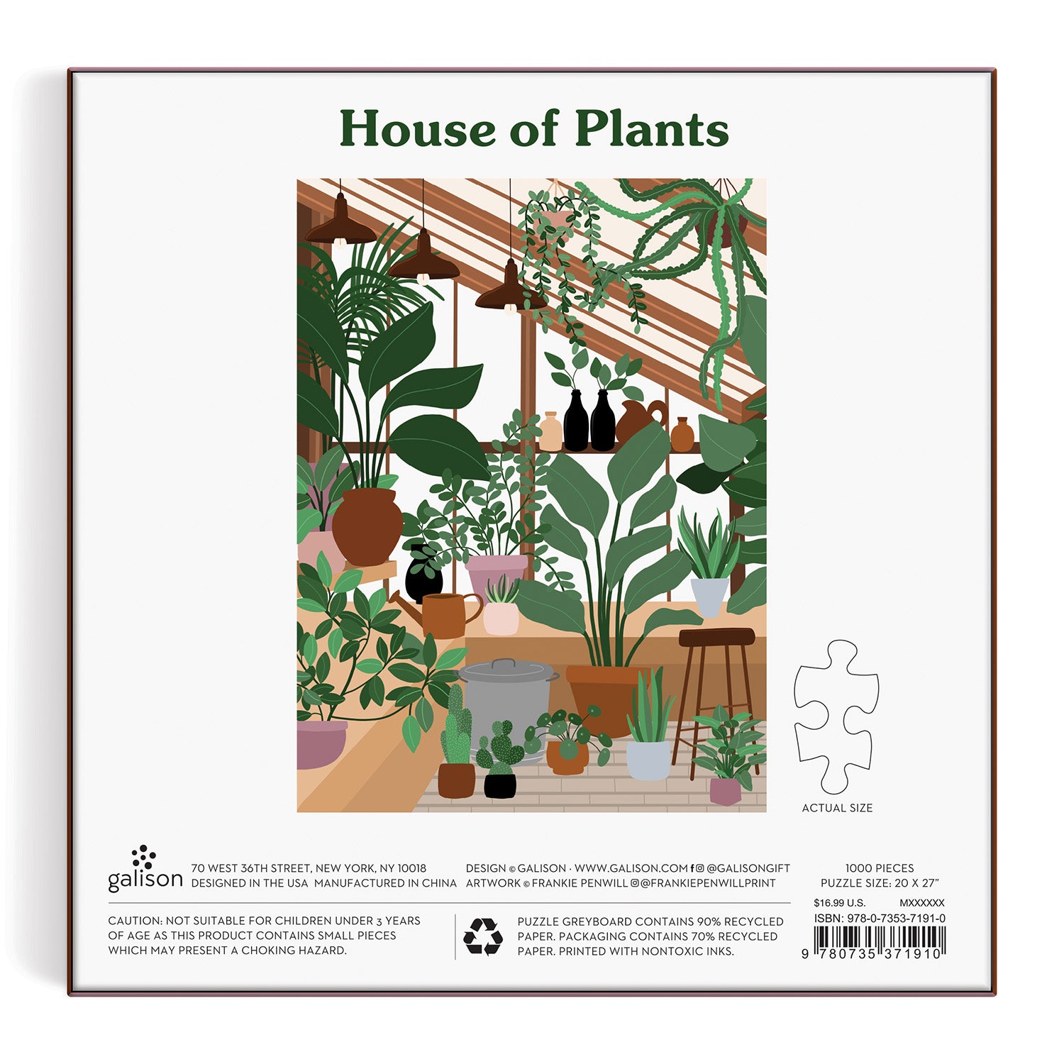 galison-house-of-plants-1000-teile-puzzle-zimmerpflanzen image 4