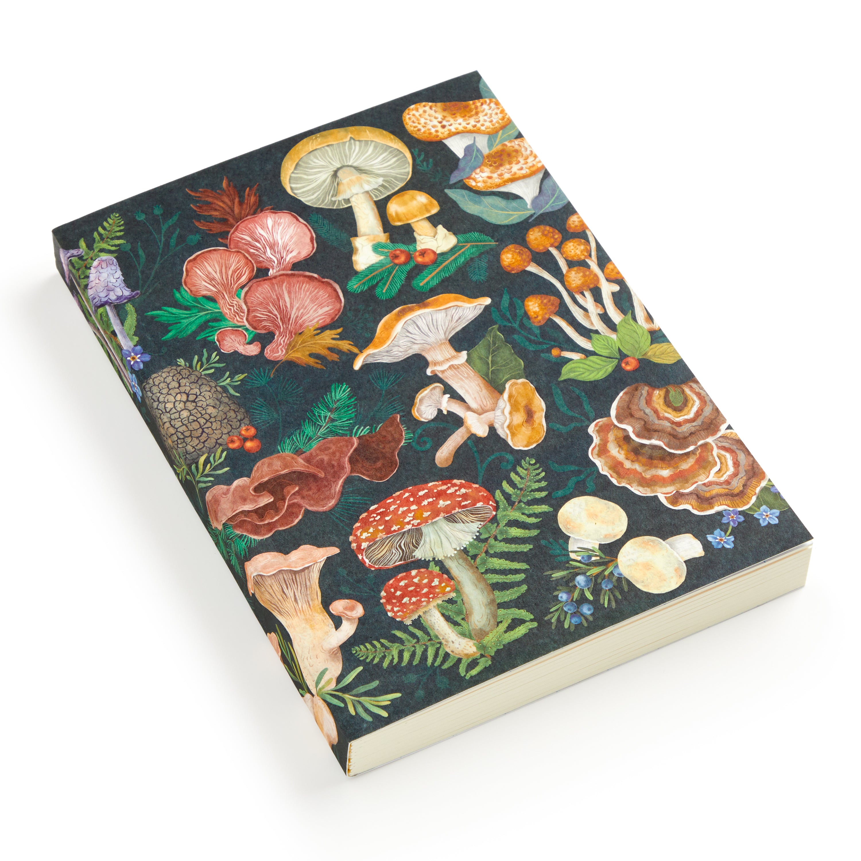galison-world-of-mushrooms-notizbuch-a5-liniert-pilze image 3