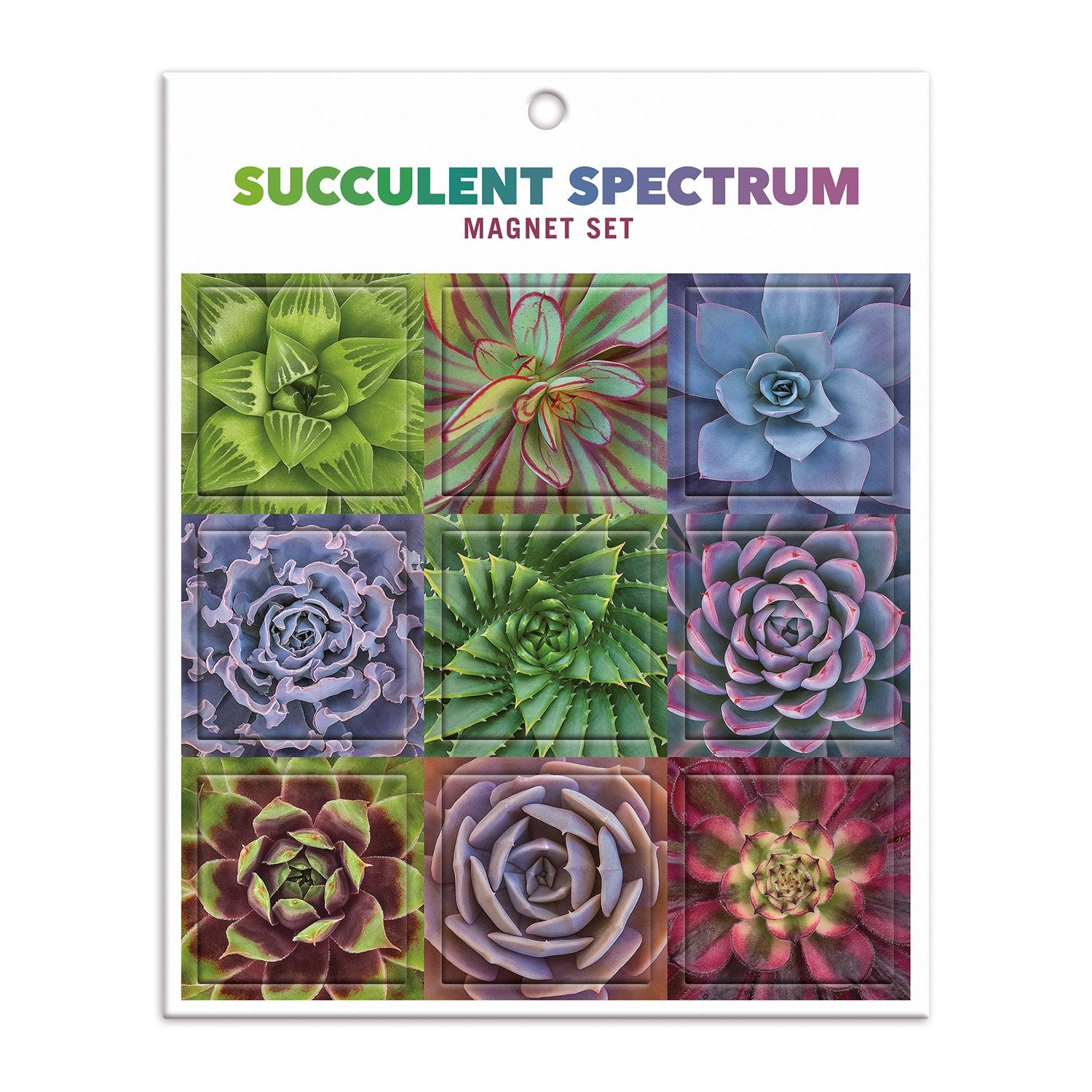 galison-succulent-spectrum-magnetset-sukkulenten-9er image 1
