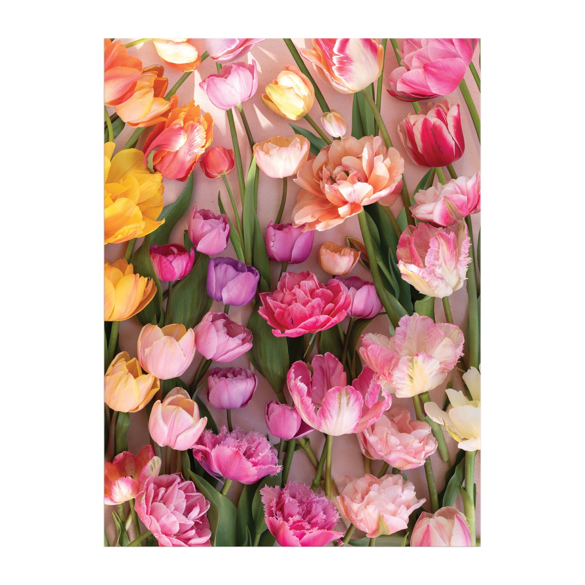 galison-ephemeral-tulips-puzzle-1000-teile-blumen-fr-hling image 6