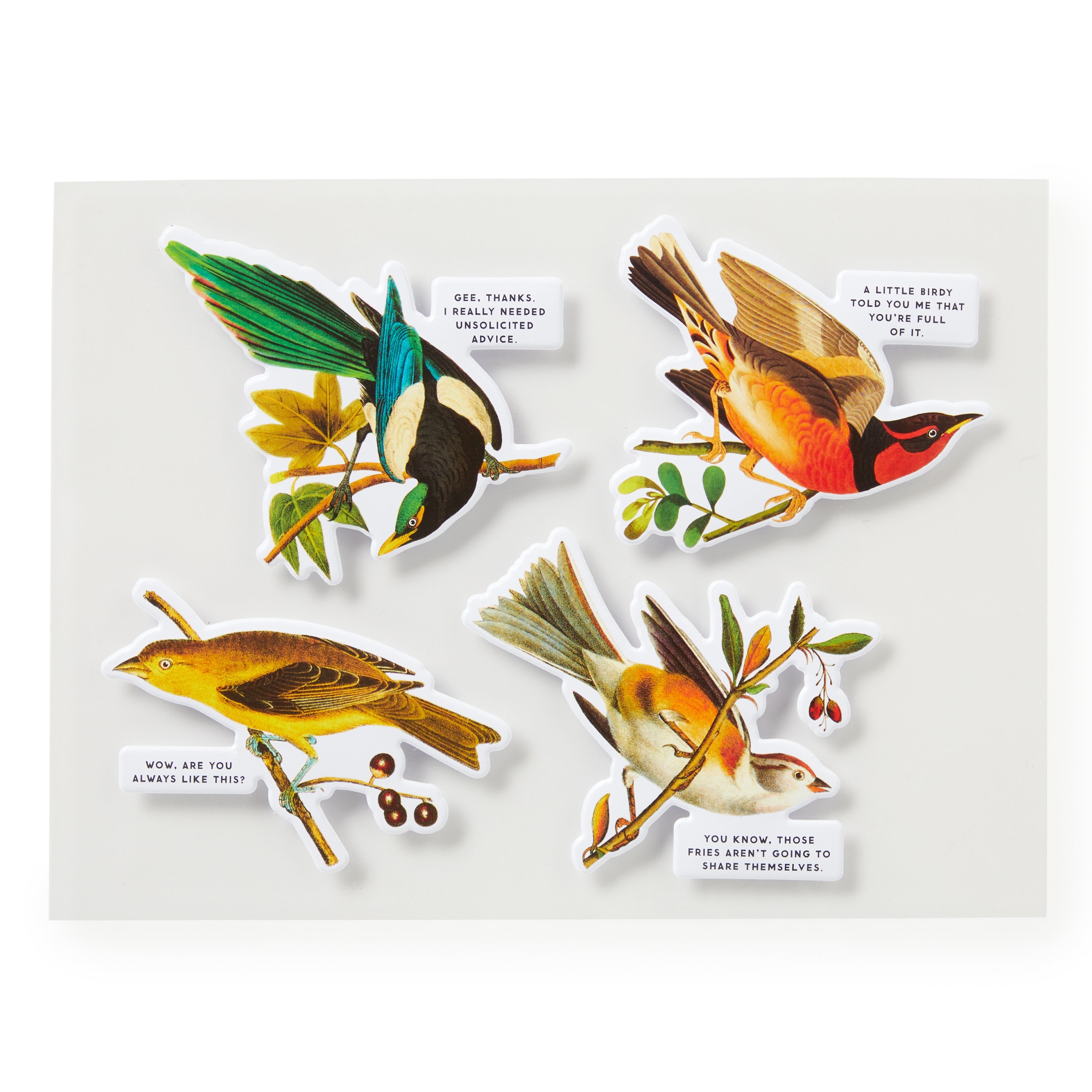 galison-salty-birds-puzzle-1000-teile-v-gel-collage image 4