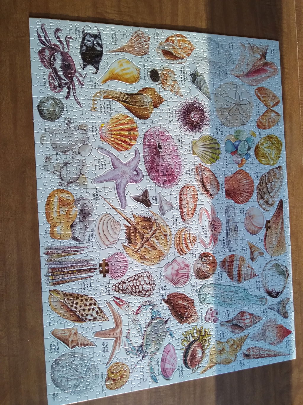 Viele Arten