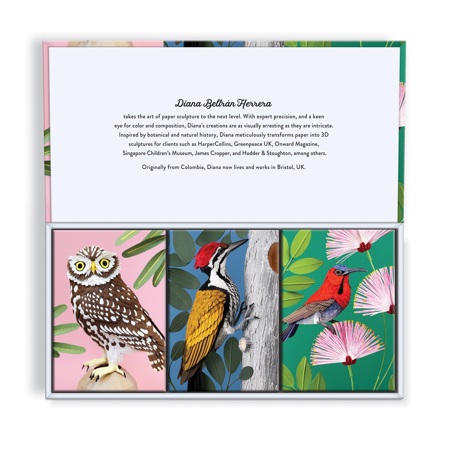 galison-birdtopia-puzzle-set-3x120-teile-v-gel image 3