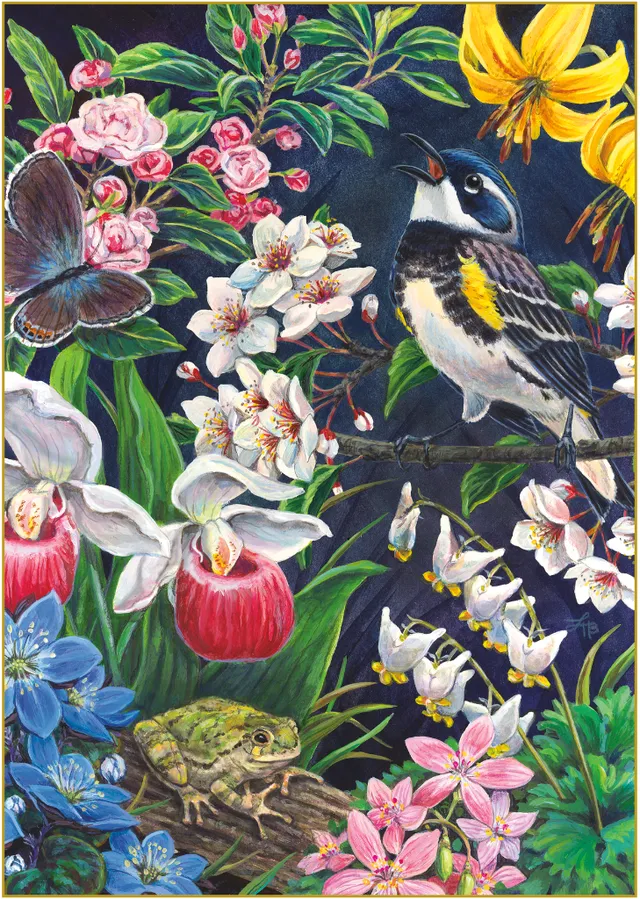 buffalo-gold-bird-s-serenade-puzzle-1000-teile-vogel image 1