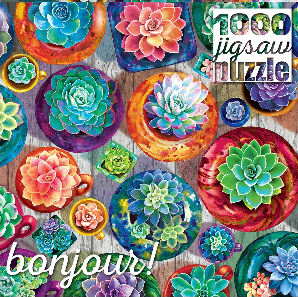 buffalo-games-bonjour-succulent-selection-puzzle-1000-teile image 1