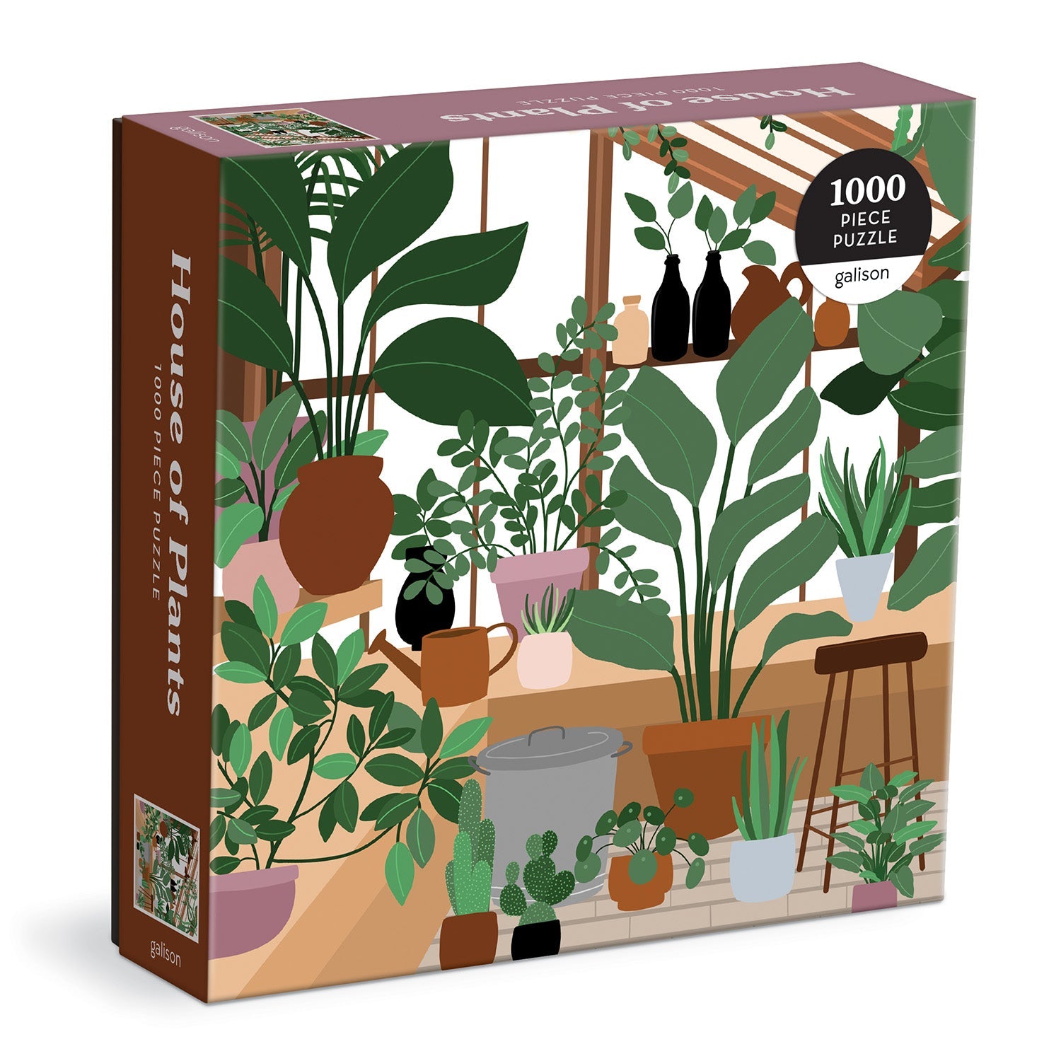 galison-house-of-plants-1000-teile-puzzle-zimmerpflanzen image 1