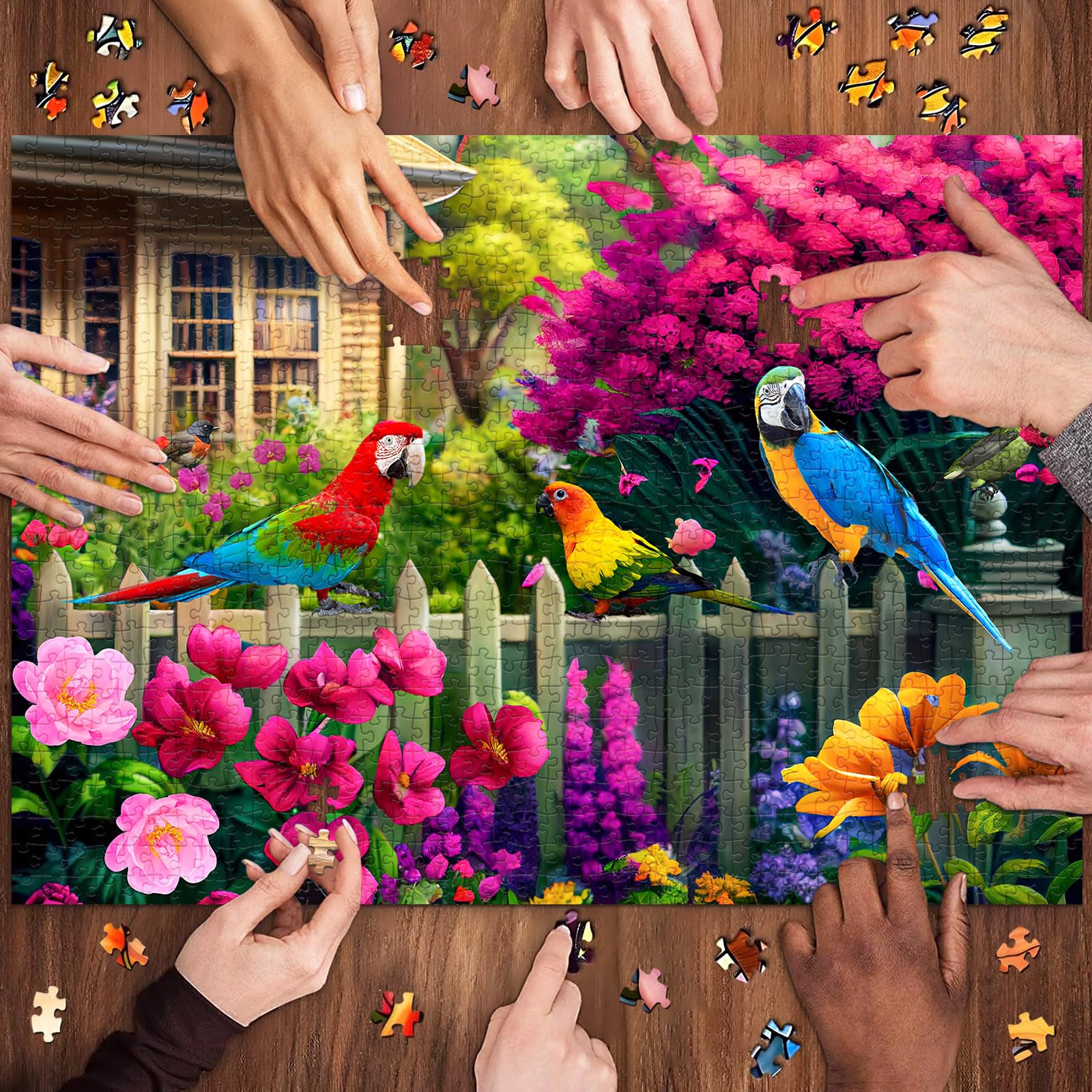 huadada-eisvogel-puzzle-500-teile-49x35cm-mit-poster image 5