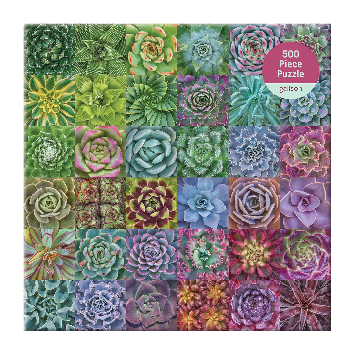 galison-troy-litten-succulent-spectrum-500-teile-puzzle image 2