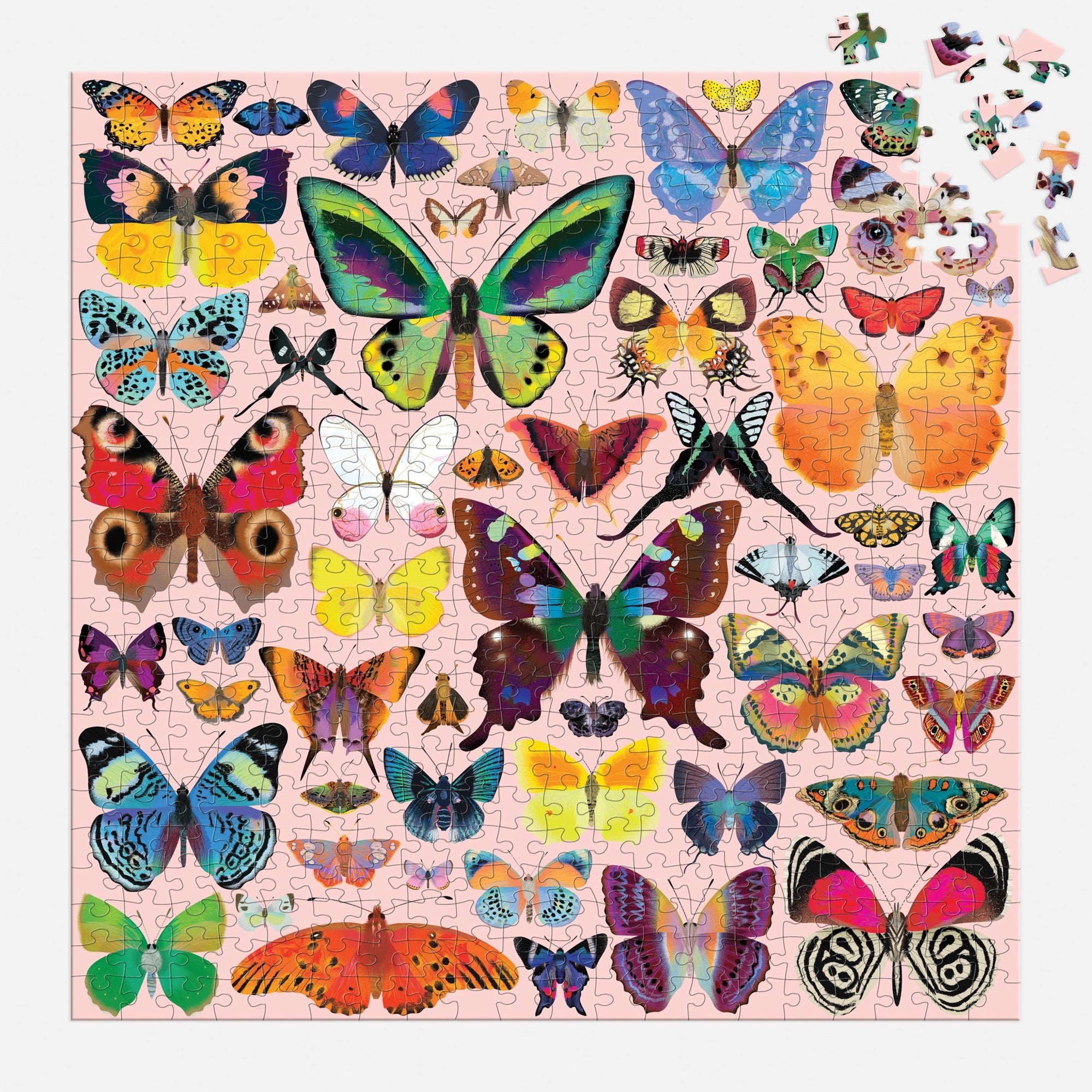 galison-brilliant-butterflies-500-teile-puzzle-schmetterling image 4