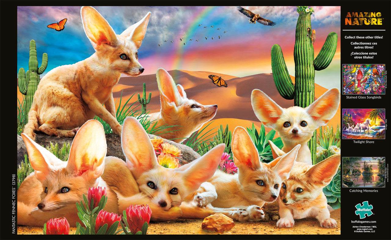buffalo-games-amazing-nature-fennec-foxes-puzzle-500-teile-w-ste image 3
