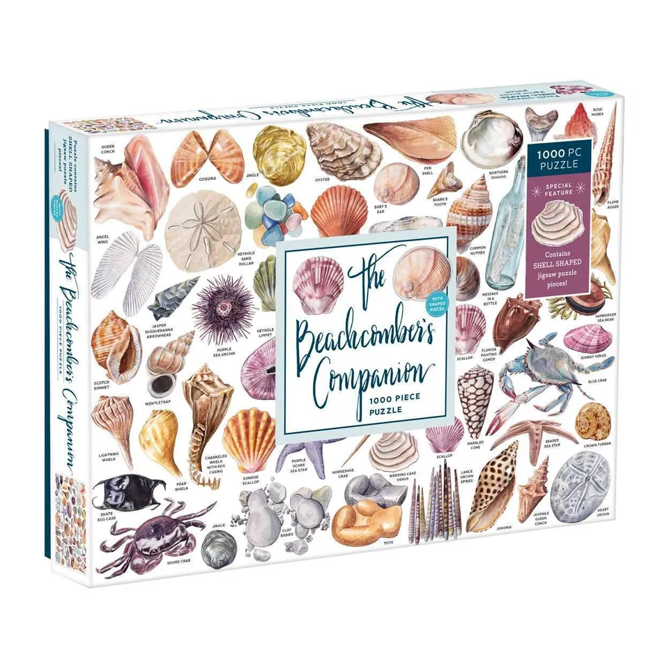 galison-beachcomber-companion-1000-teile-puzzle-muscheln image 1