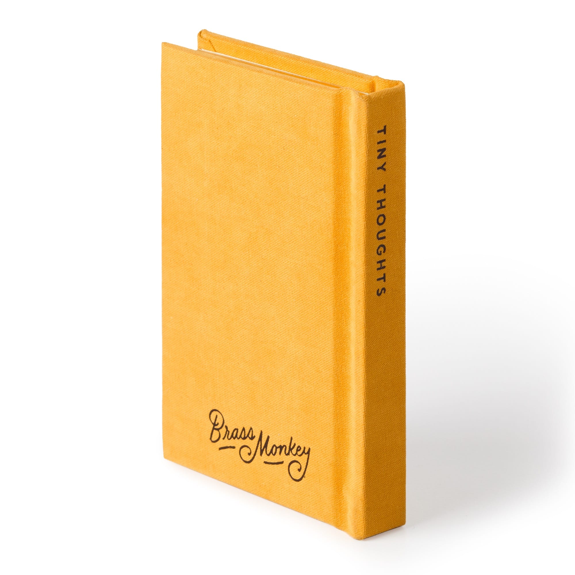galison-a-tiny-diary-for-tiny-thoughts-tagebuch-filz-goldschnitt image 8