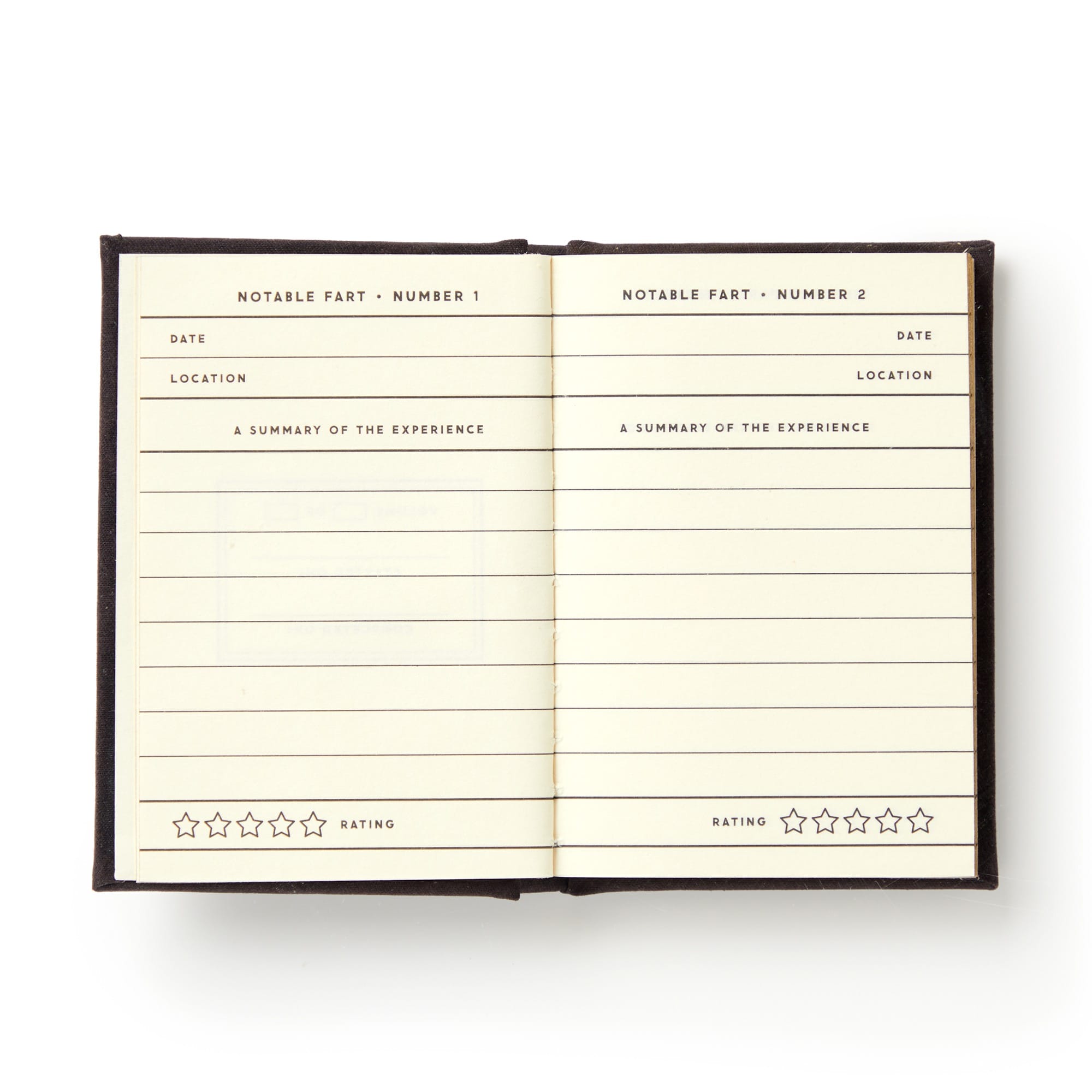 galison-a-tiny-fart-diary-tagebuch-mini-filz image 7