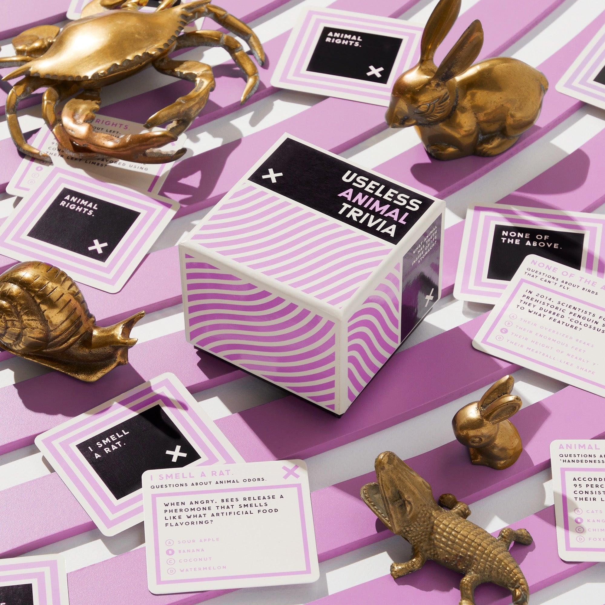 galison-useless-animal-trivia-quizspiel-200-karten-tiere image 4