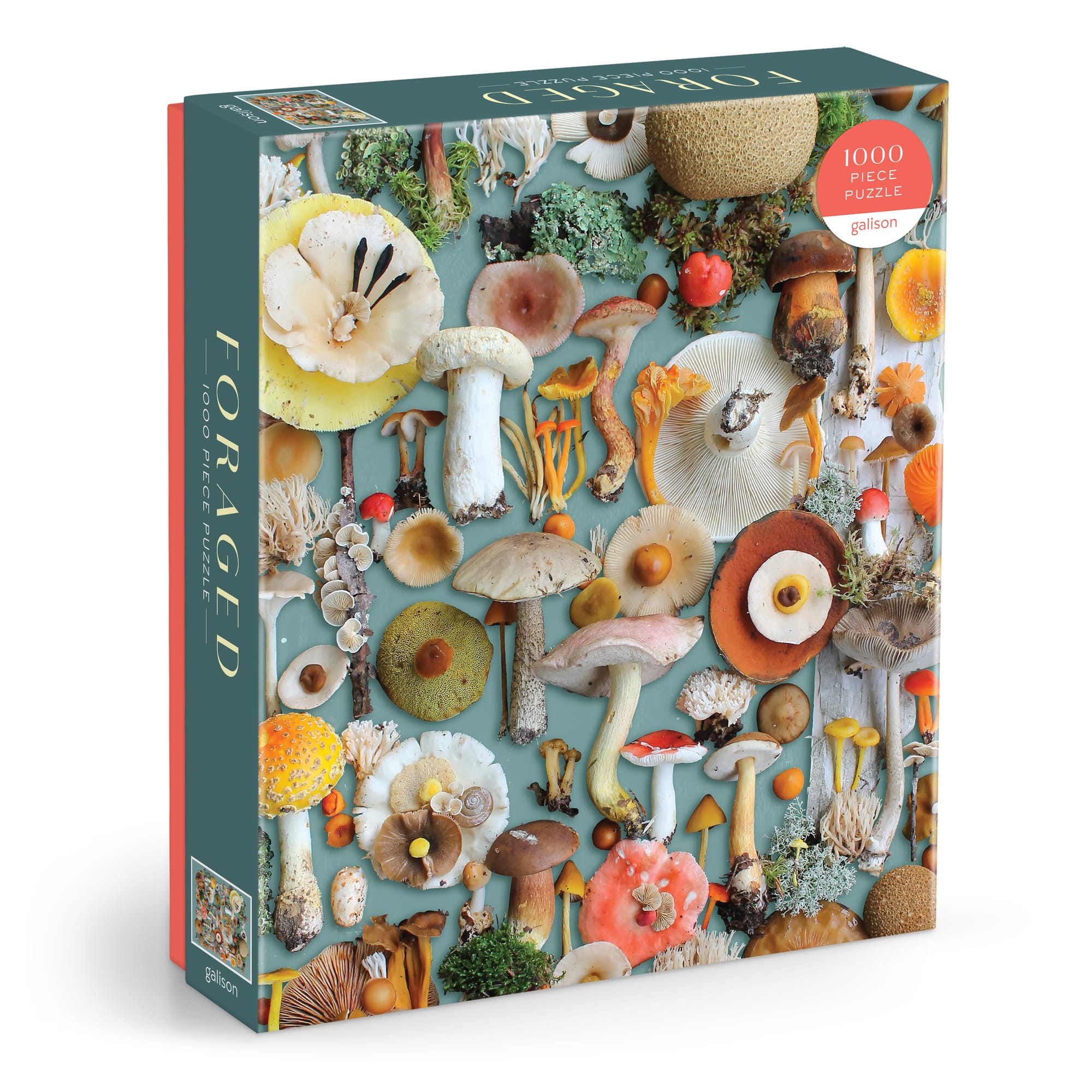 galison-foraged-puzzle-1000-teile-pilze image 1