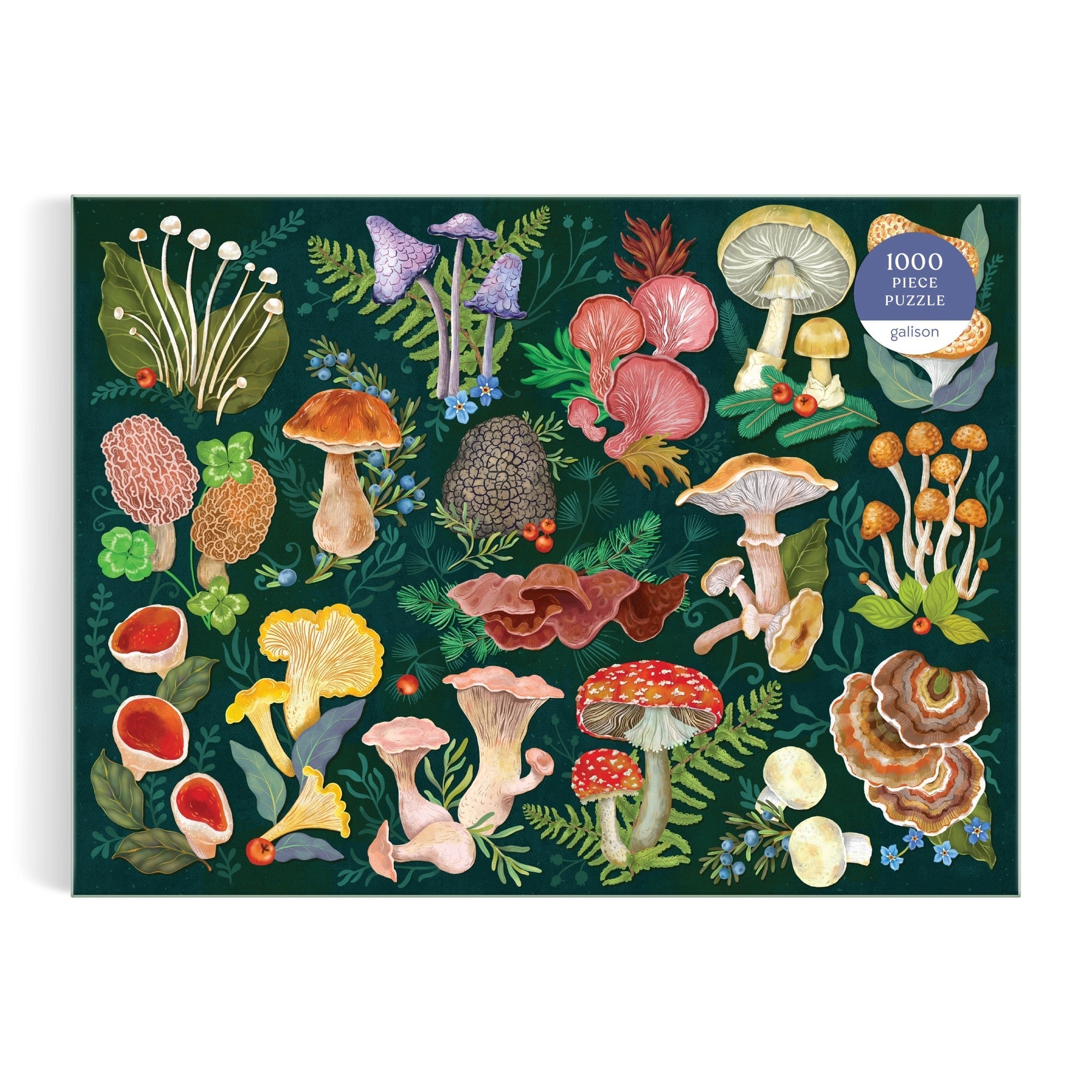 galison-world-of-mushrooms-puzzle-1000-teile-pilze-natur image 2
