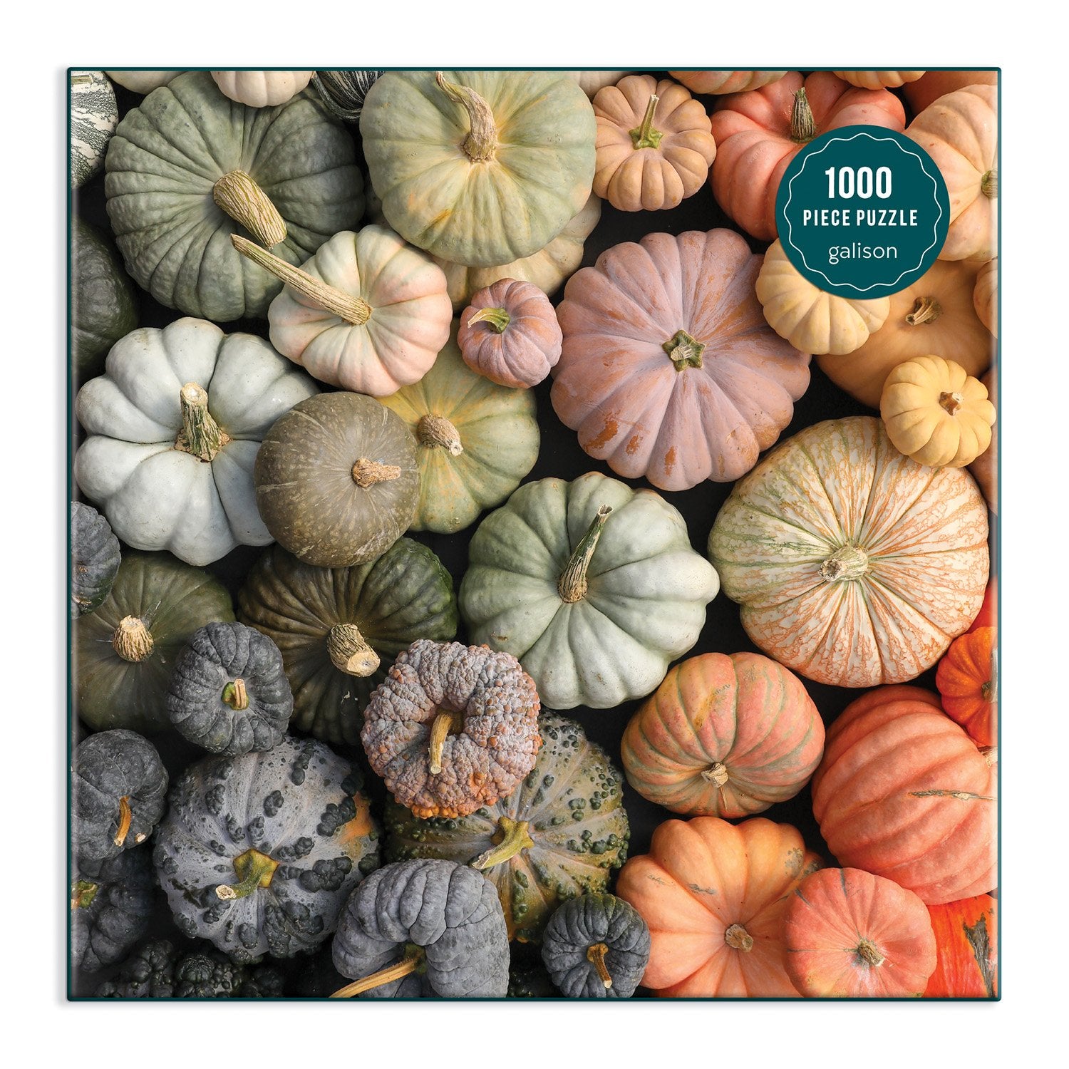 galison-heirloom-pumpkins-puzzle-1000-teile-herbst image 2