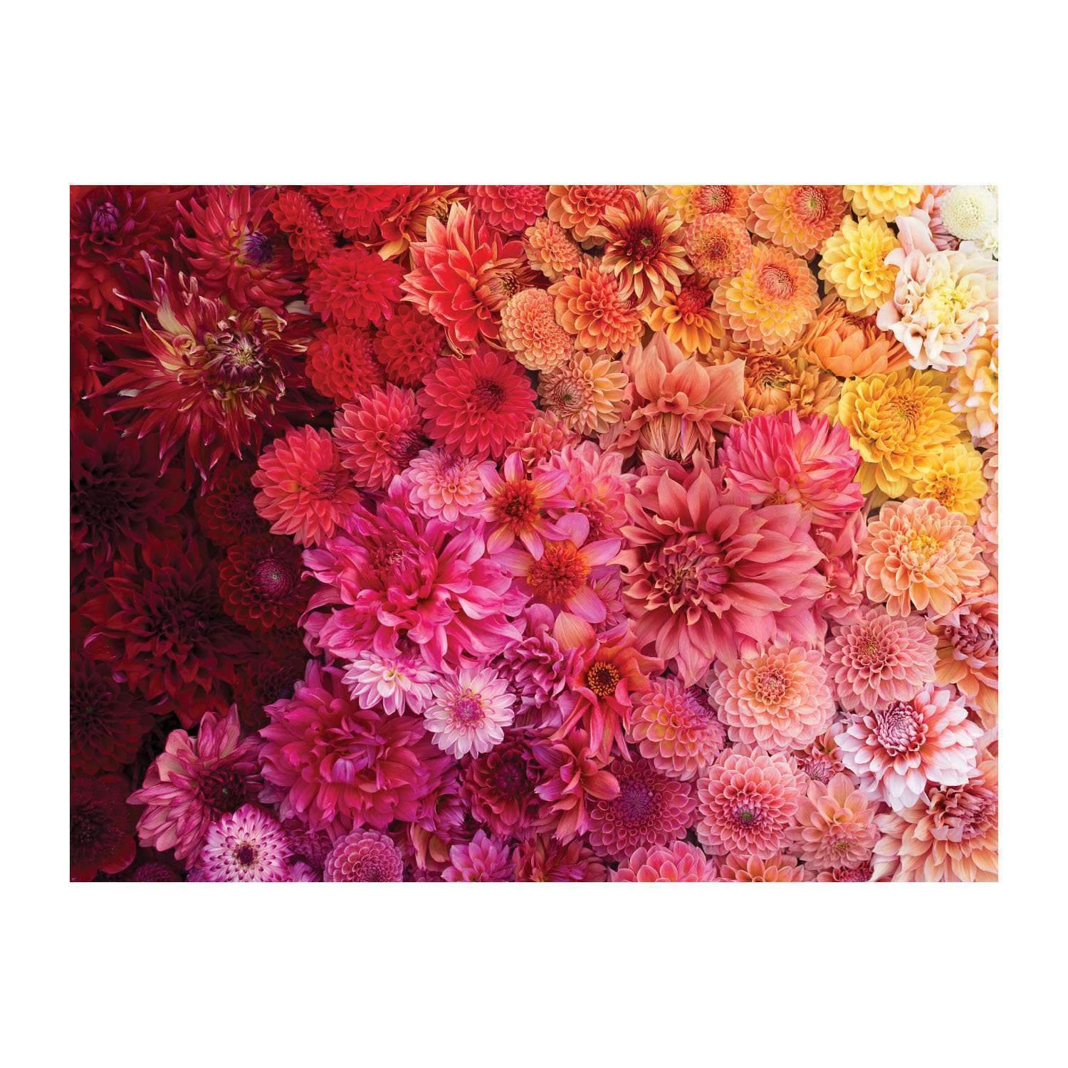 galison-floret-farm-cut-flower-puzzle-500-teile-doppelseitig image 7