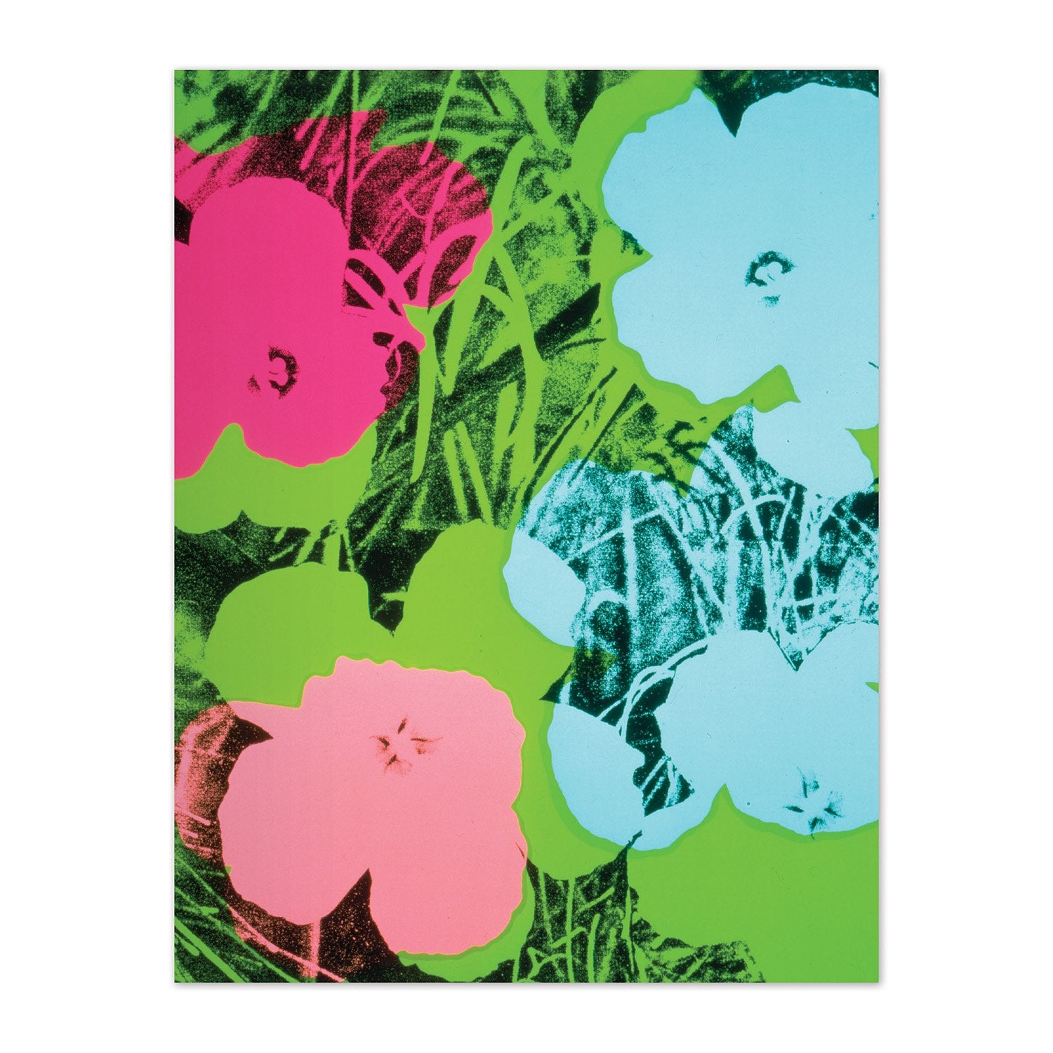 galison-andy-warhol-pop-art-kartenset-12-karten-mit-umschlag image 6