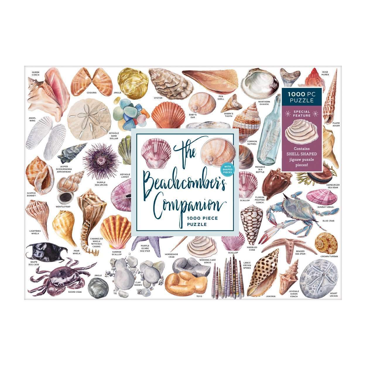 galison-beachcomber-companion-1000-teile-puzzle-muscheln image 3