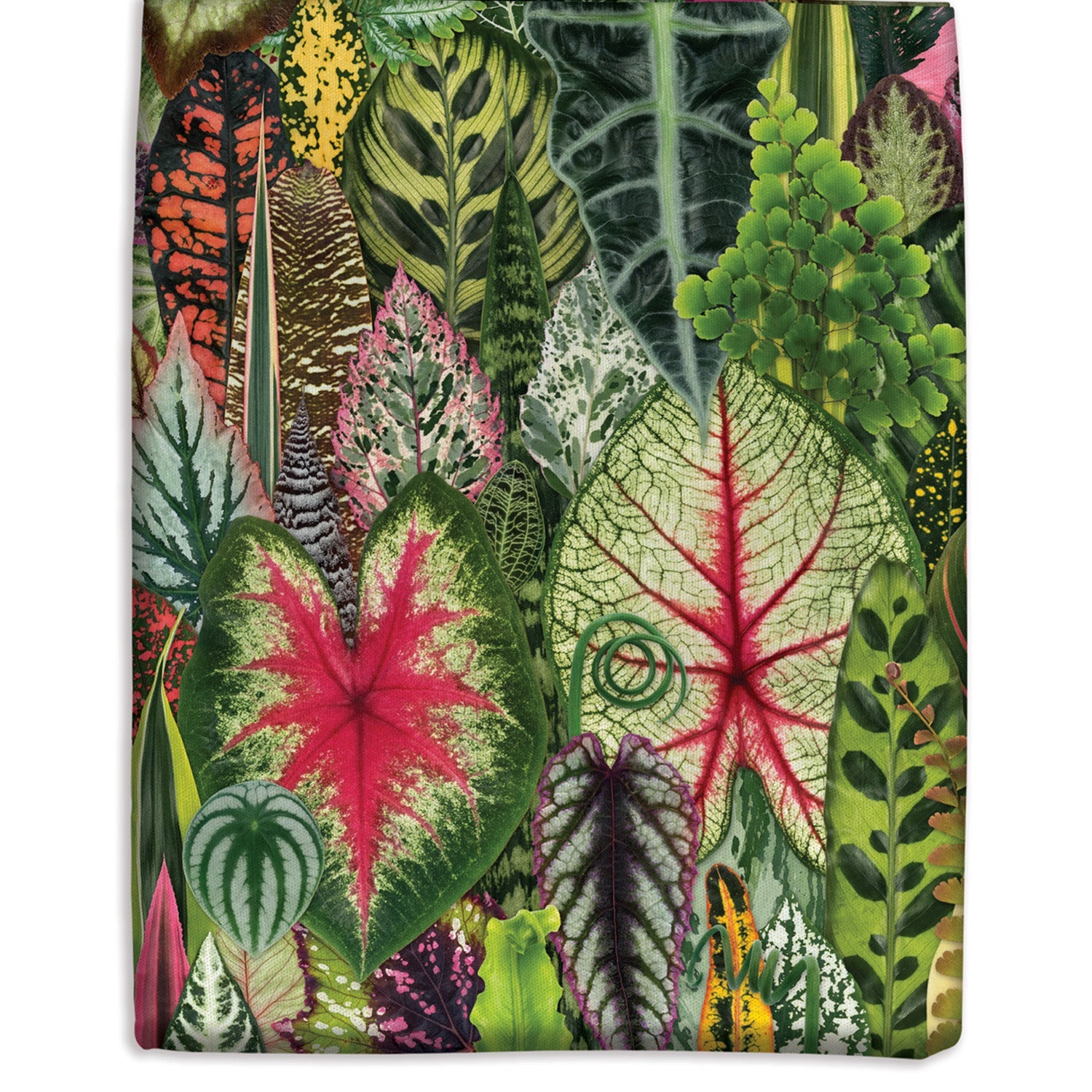 galison-troy-litten-houseplant-jungle-tote-bag-pflanzen image 3