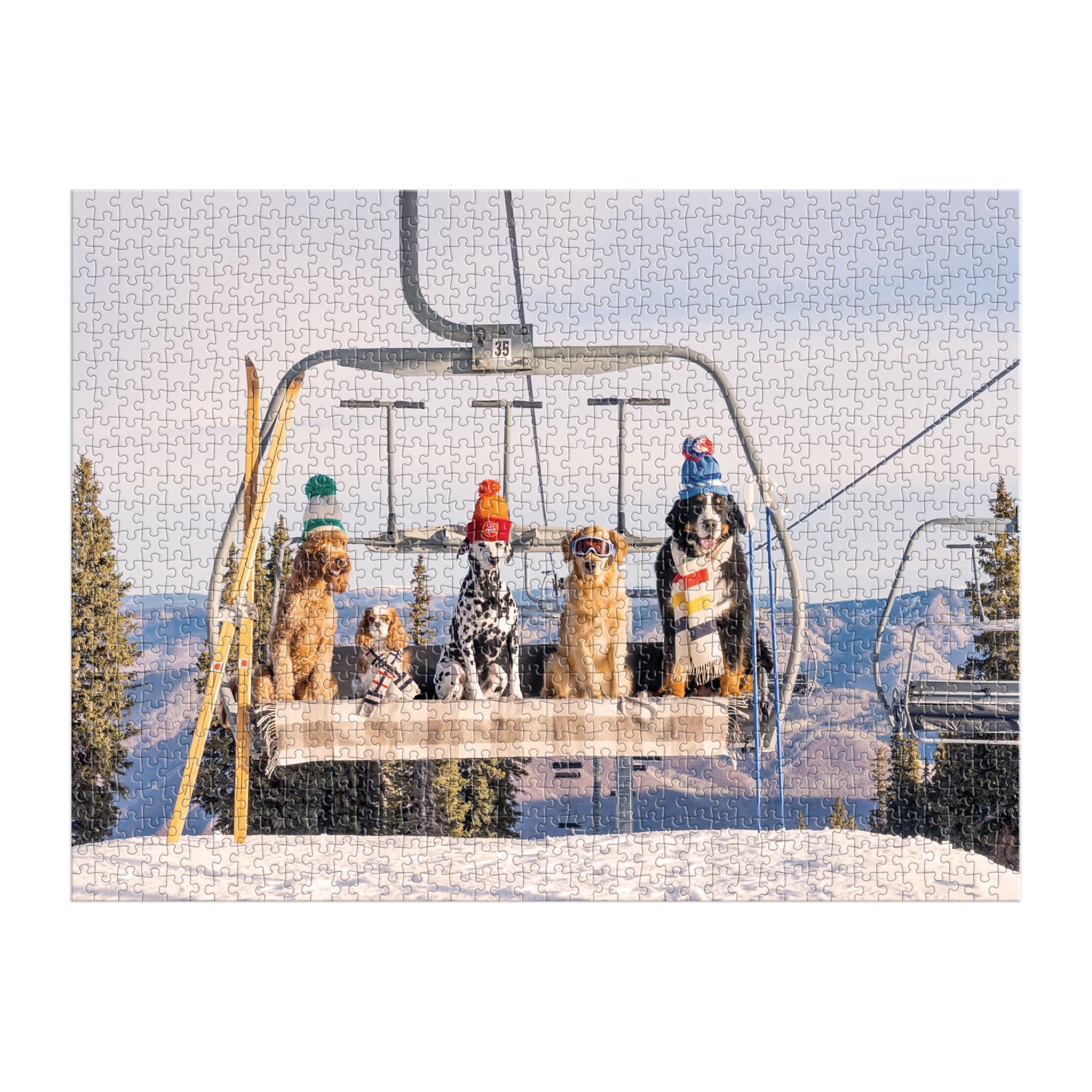galison-gray-malin-aspen-puzzle-1000-teile-hunde-skilift image 4