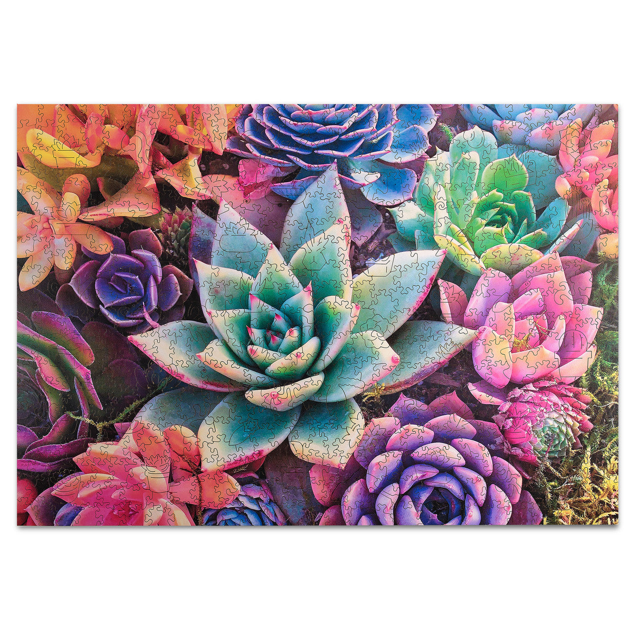buffalo-games-simple-succulent-500-teile-holzpuzzle-whimsy image 2