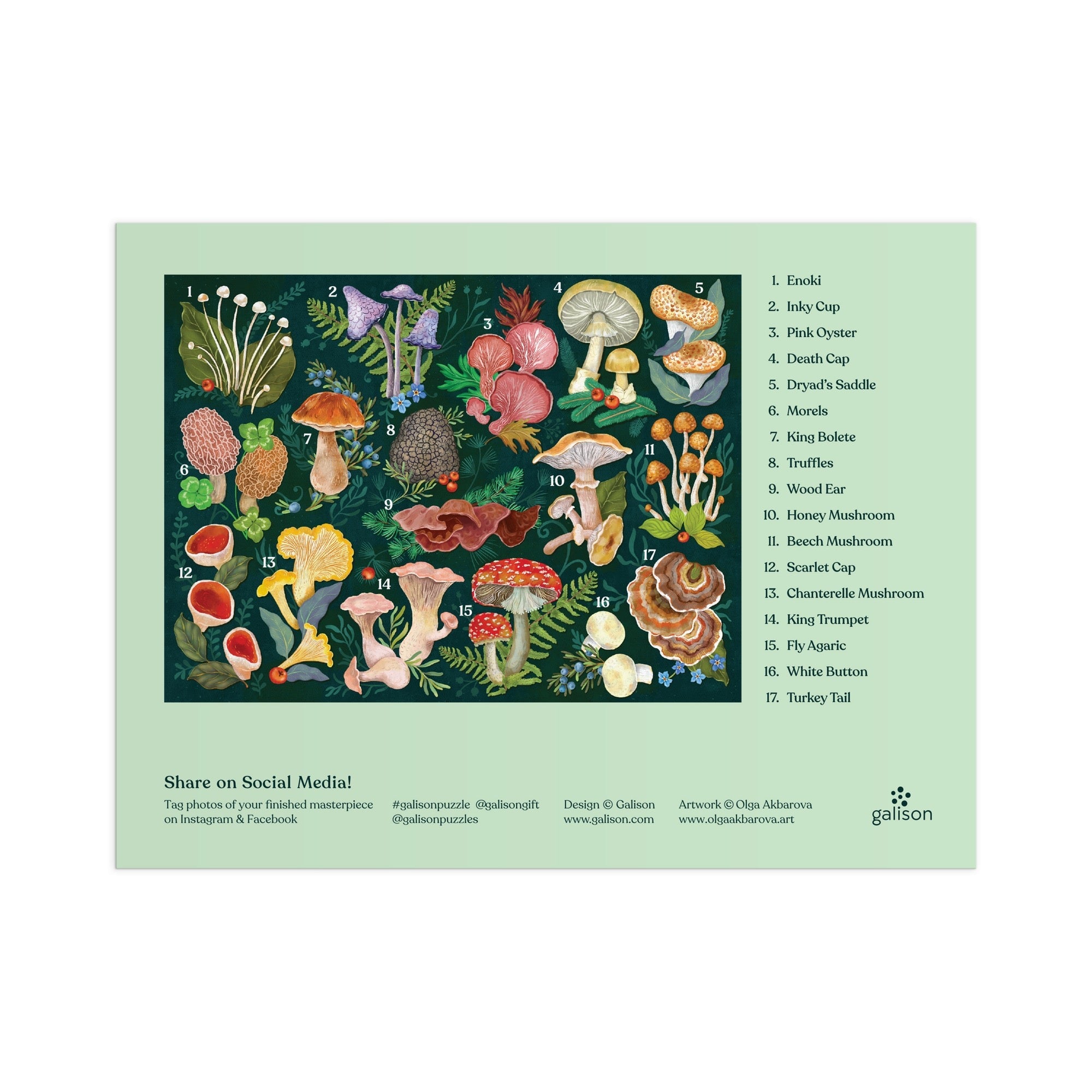 galison-world-of-mushrooms-puzzle-1000-teile-pilze-natur image 5