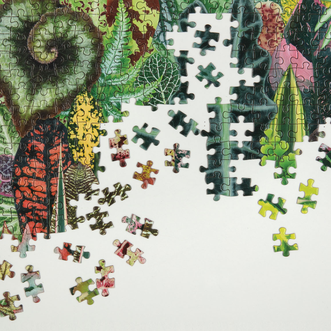 galison-troy-litten-houseplant-jungle-1000-teile-puzzle-zimmerpflanzen image 4