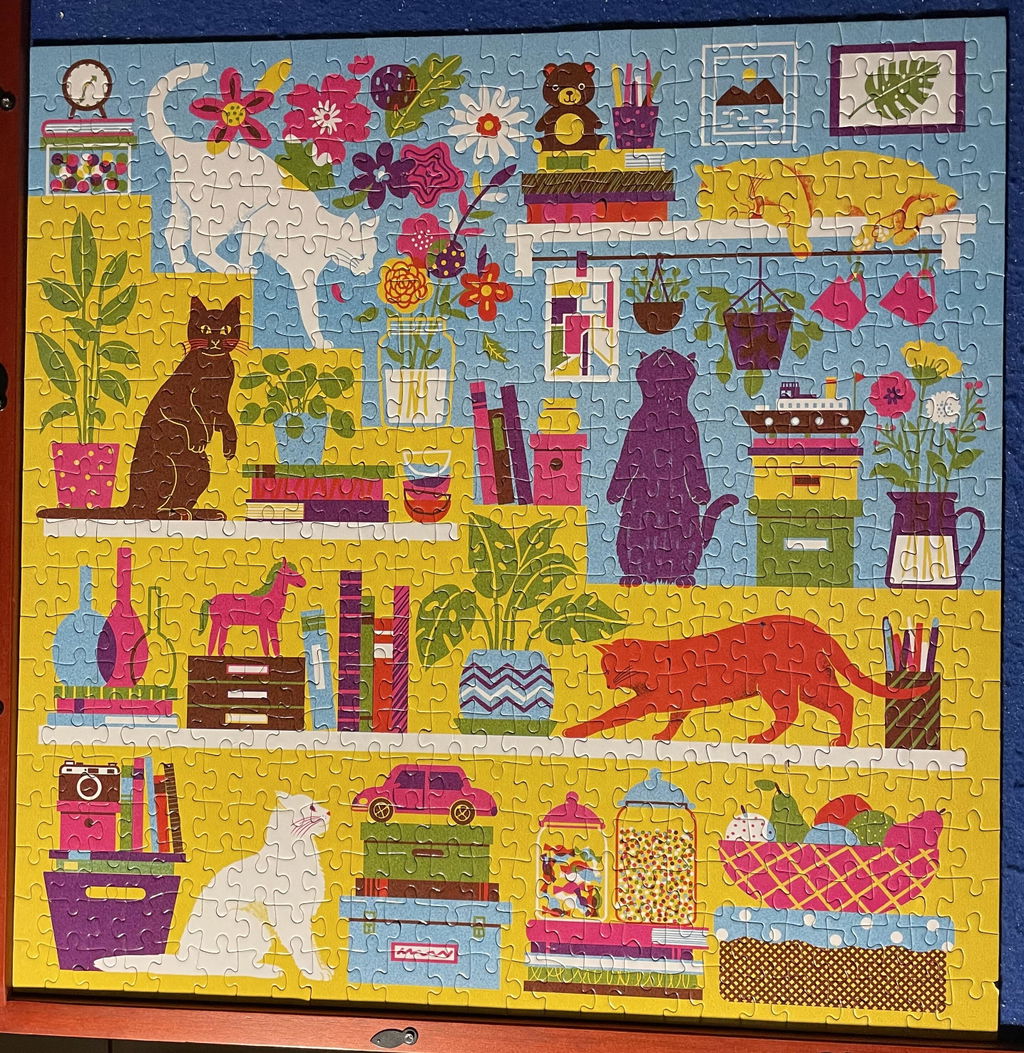 Viele Katzen