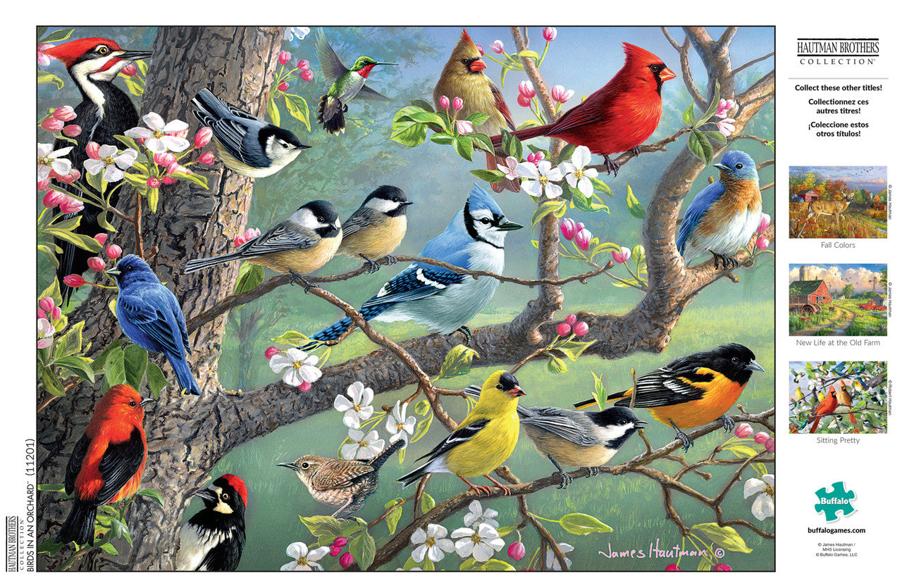 buffalo-games-hautman-birds-orchard-1000-teile-puzzle-v-gel image 3