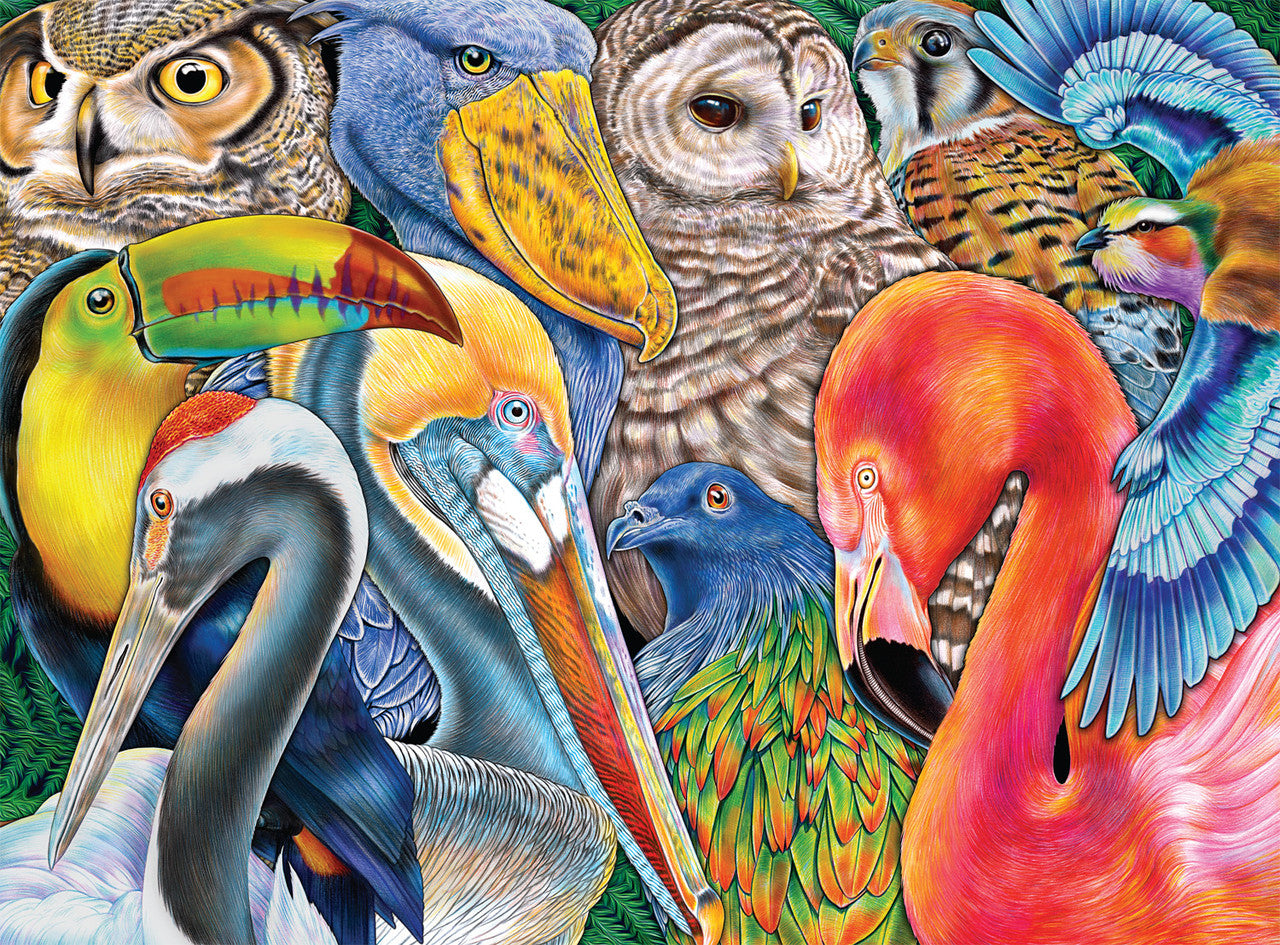buffalo-games-bird-bonanza-1000-teile-puzzle-v-gel image 1
