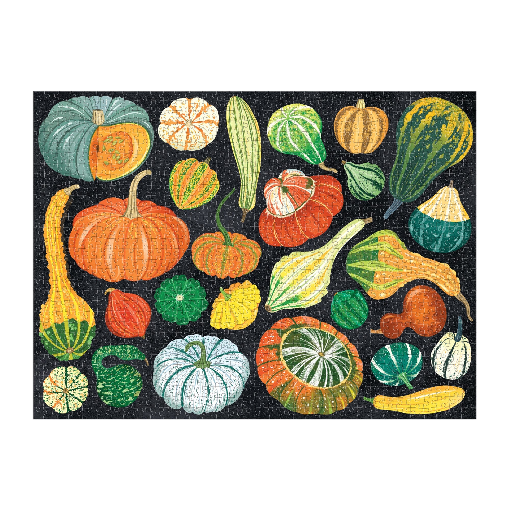 galison-world-of-pumpkins-puzzle-1000-teile-k-rbis image 3