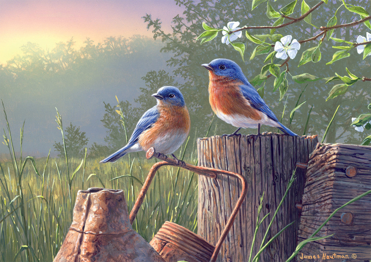 buffalo-games-hautman-daybreak-bluebirds-500-teile-puzzle image 1