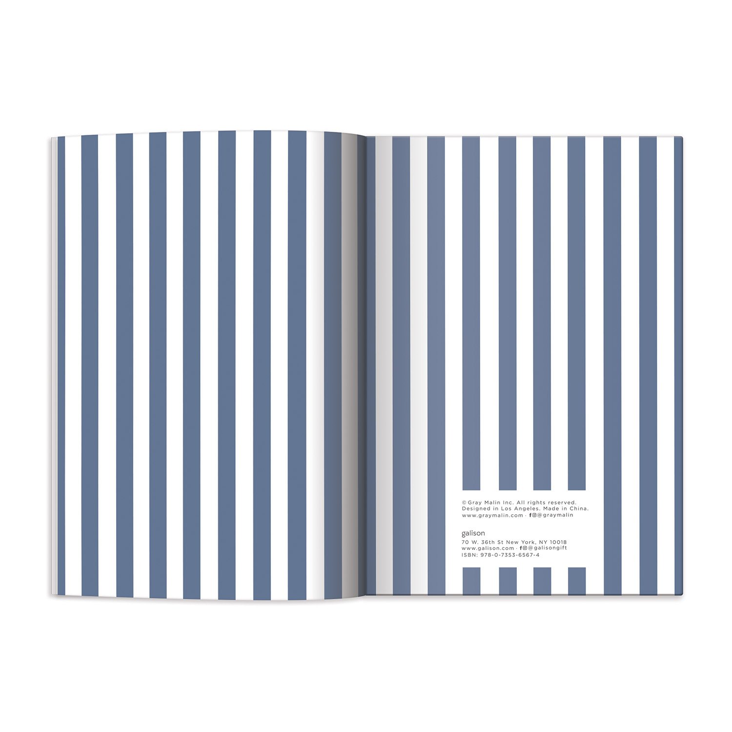 galison-gray-malin-the-skiers-a5-notizbuch-liniert-silberfolie image 5