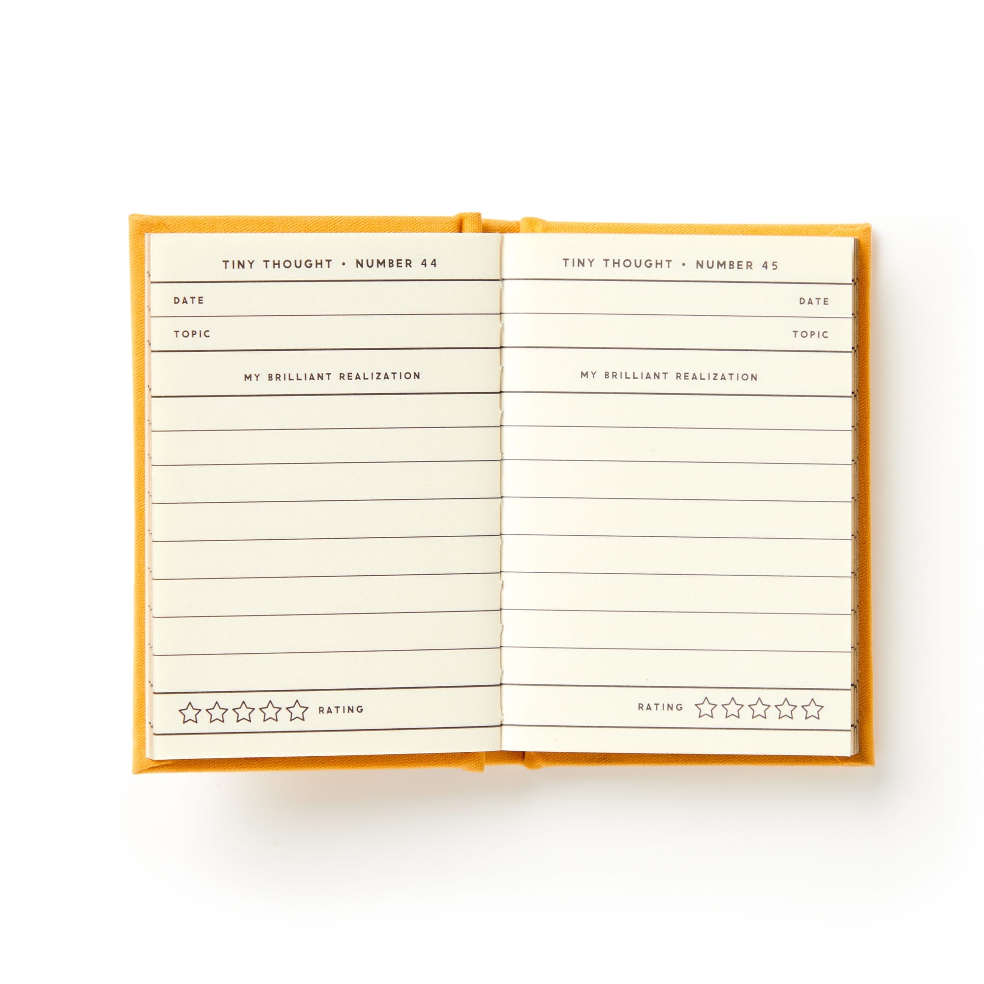 galison-a-tiny-diary-for-tiny-thoughts-tagebuch-filz-goldschnitt image 6