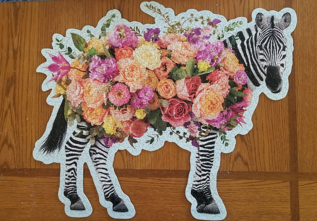 Zebra hängt jetzt
