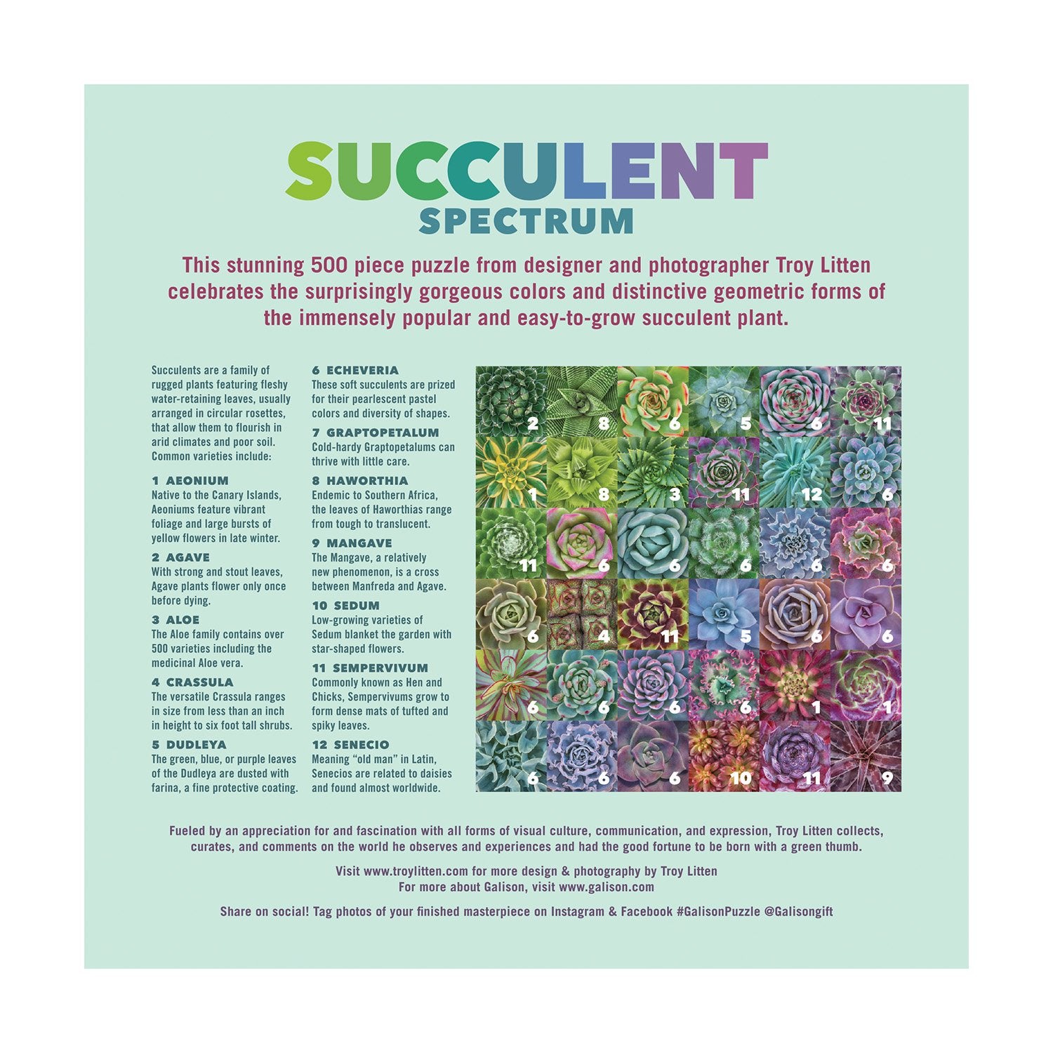 galison-troy-litten-succulent-spectrum-500-teile-puzzle image 4