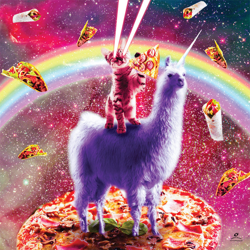 buffalo-games-laser-llama-kitty-300-teile-puzzle-xxl image 2