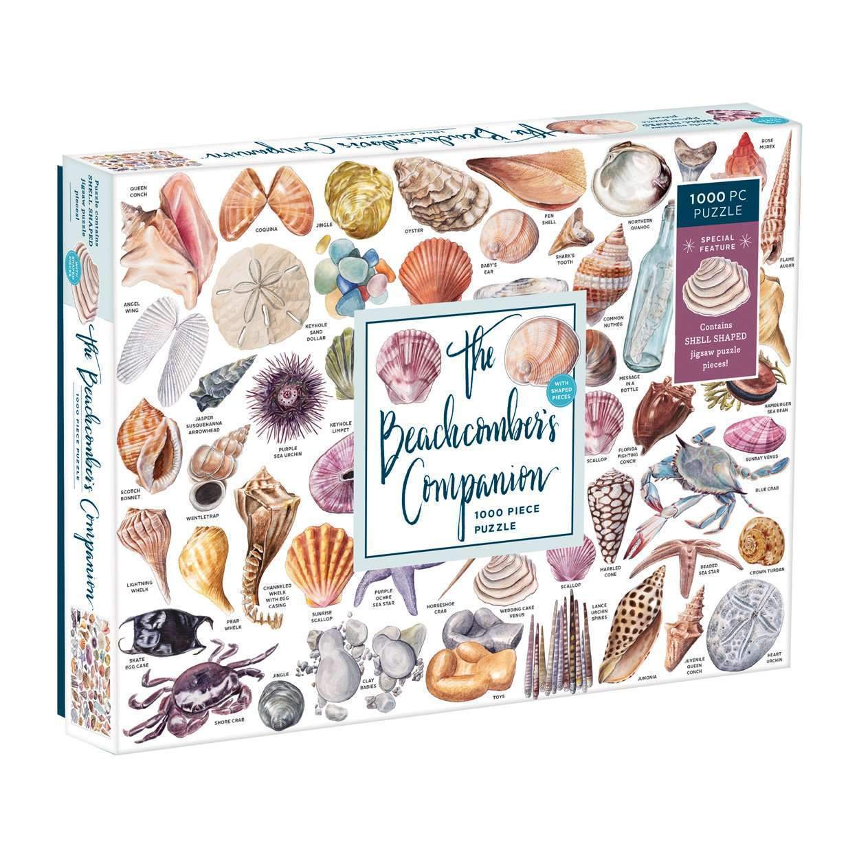 galison-beachcomber-companion-1000-teile-puzzle-muscheln image 1