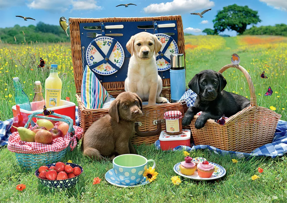 buffalo-games-puppy-park-picnic-300-teile-puzzle-gro-e-teile image 1