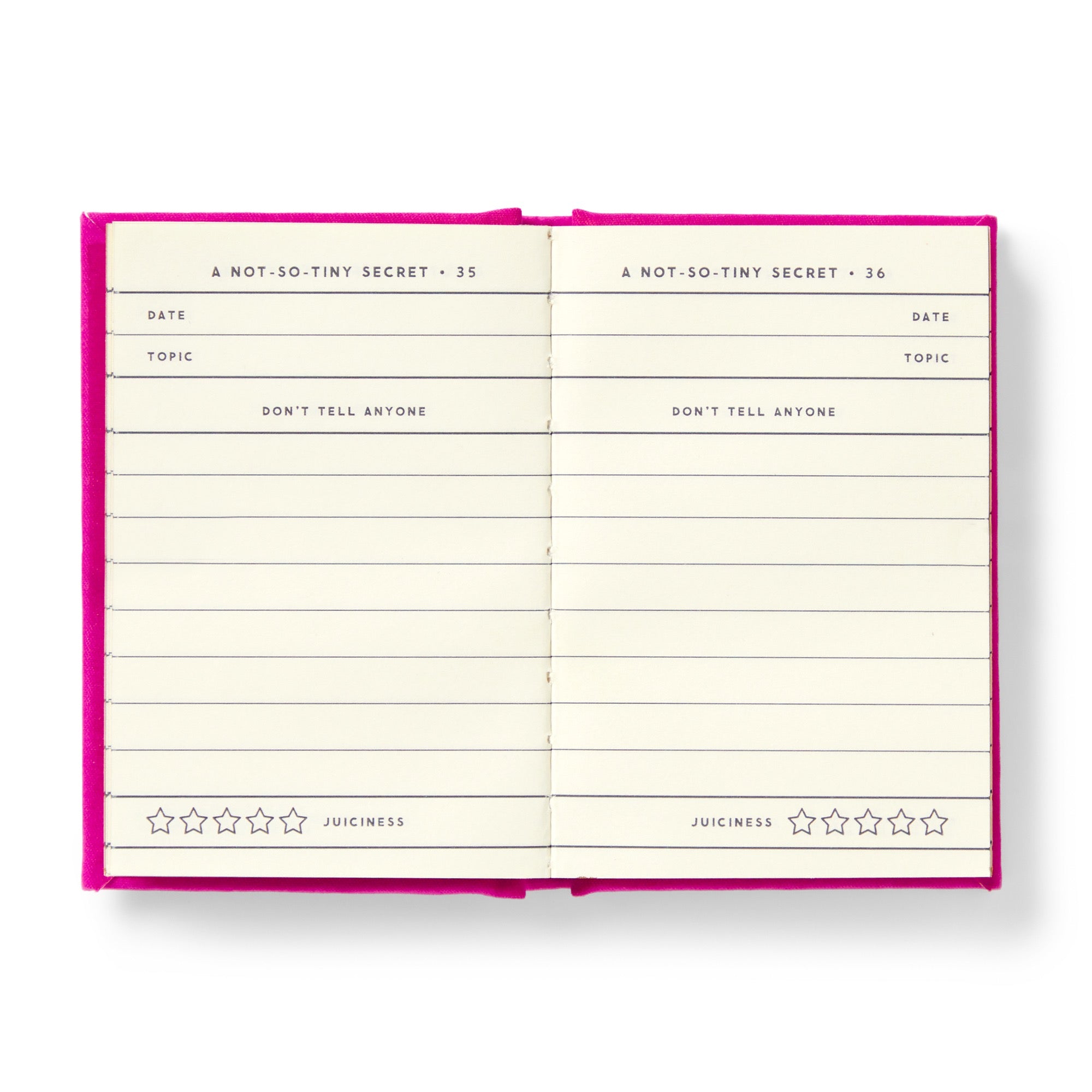 galison-tiny-diary-mini-tagebuch-filz-goldschnitt-112-seiten image 5
