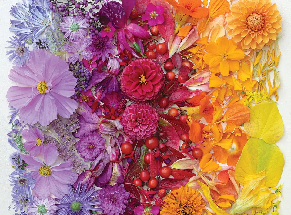 buffalo-games-jigsaw-puzzles-gradient-flora-1000-teile-puzzle-blumen image 1