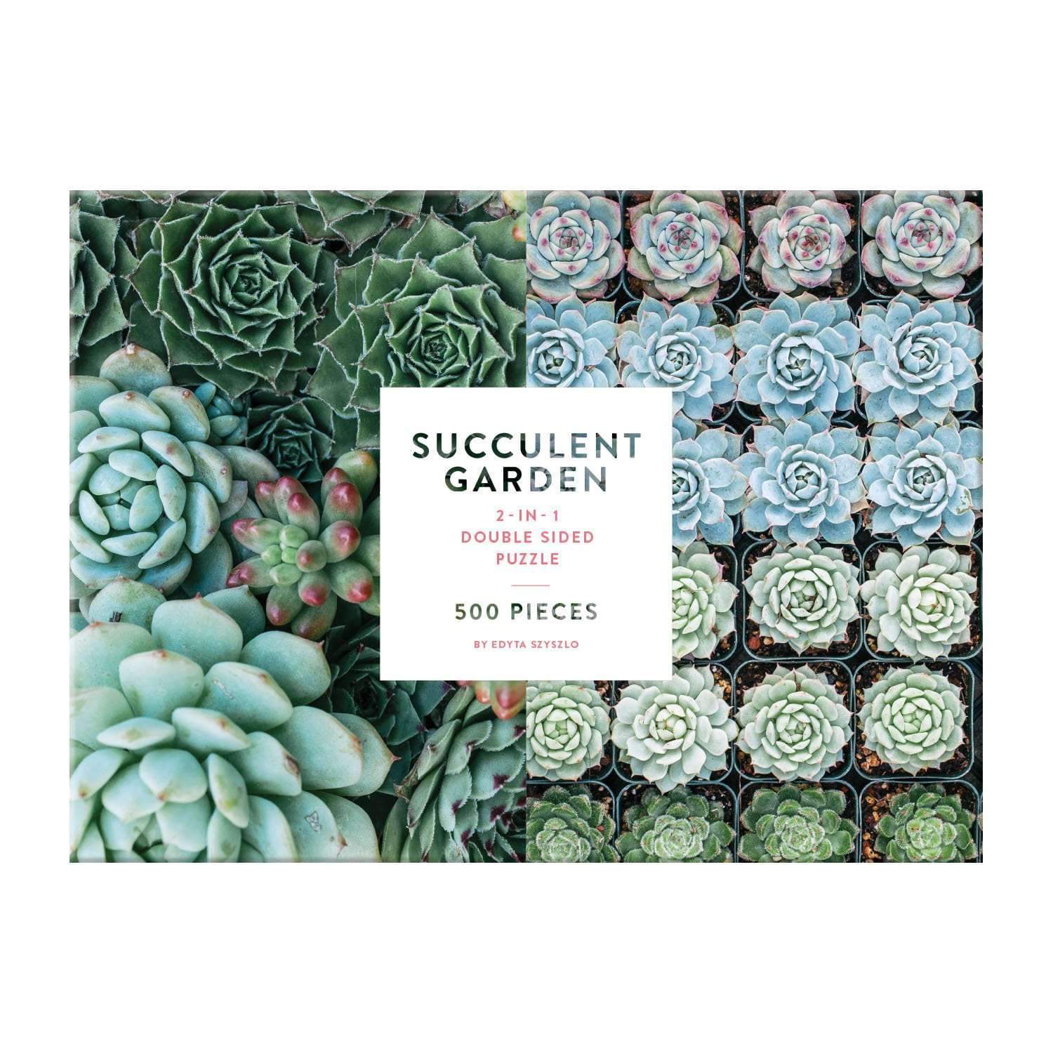 galison-succulent-garden-500-teile-puzzle-doppelseitig-sukkulenten image 2