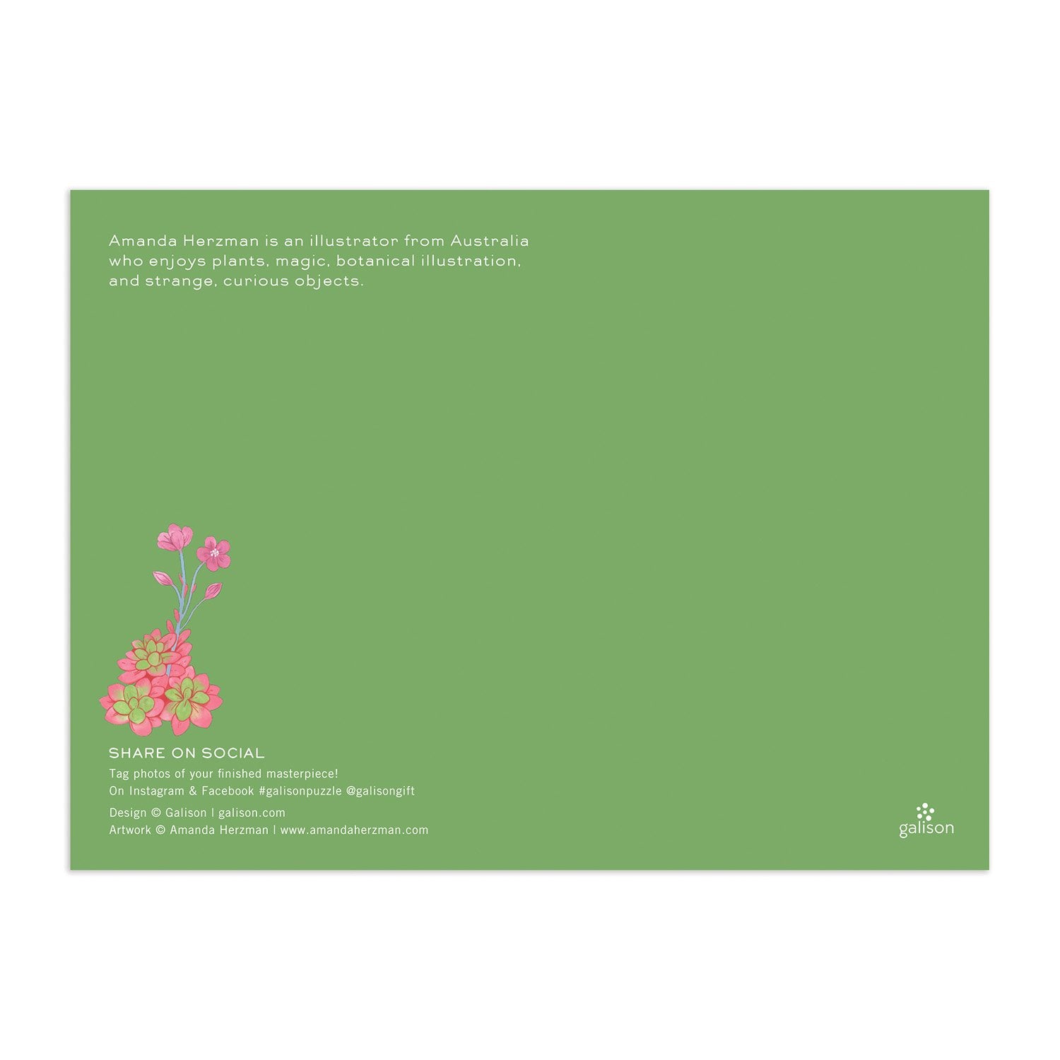 galison-desert-flora-puzzle-1000-teile-blumen-formteile image 4