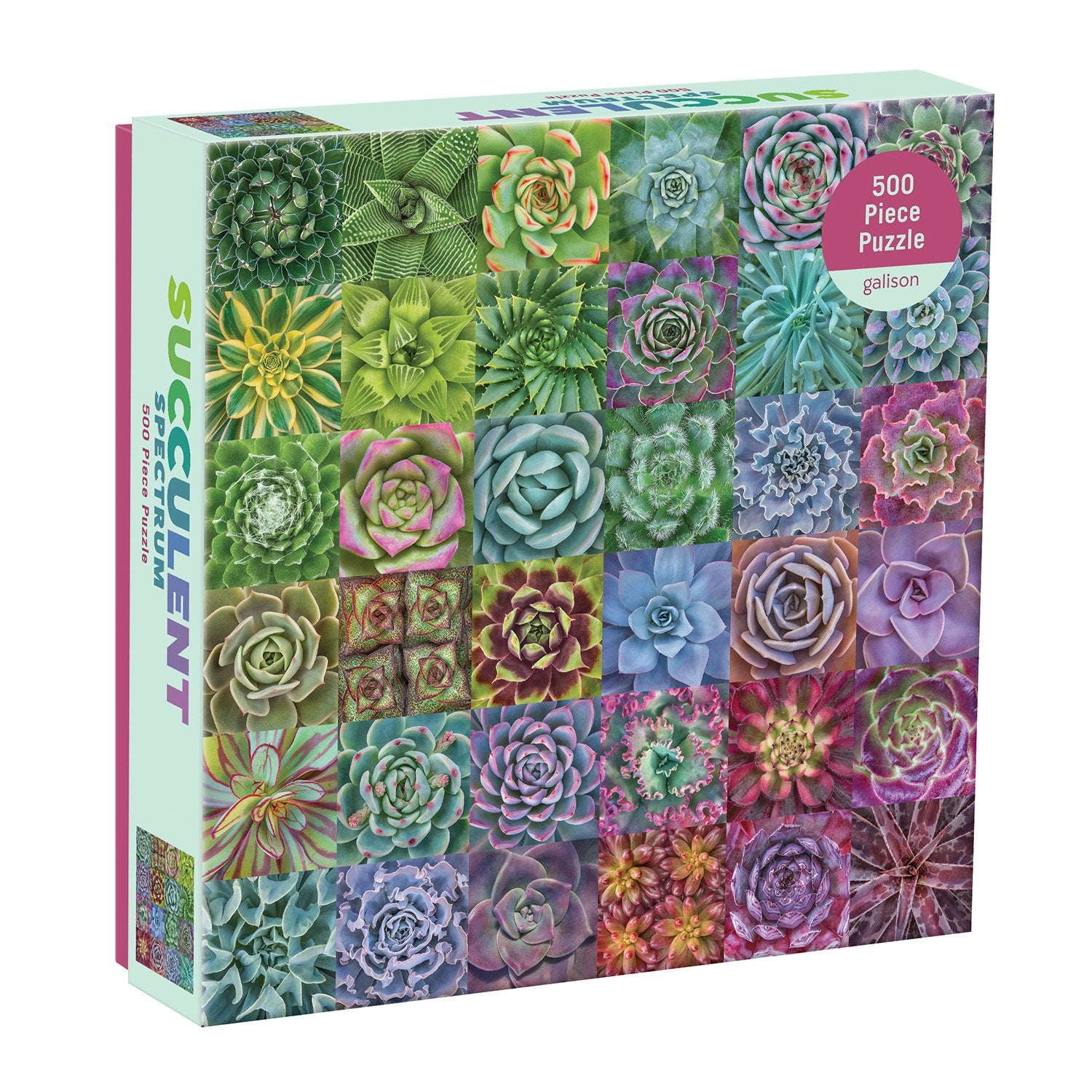 galison-troy-litten-succulent-spectrum-500-teile-puzzle image 1