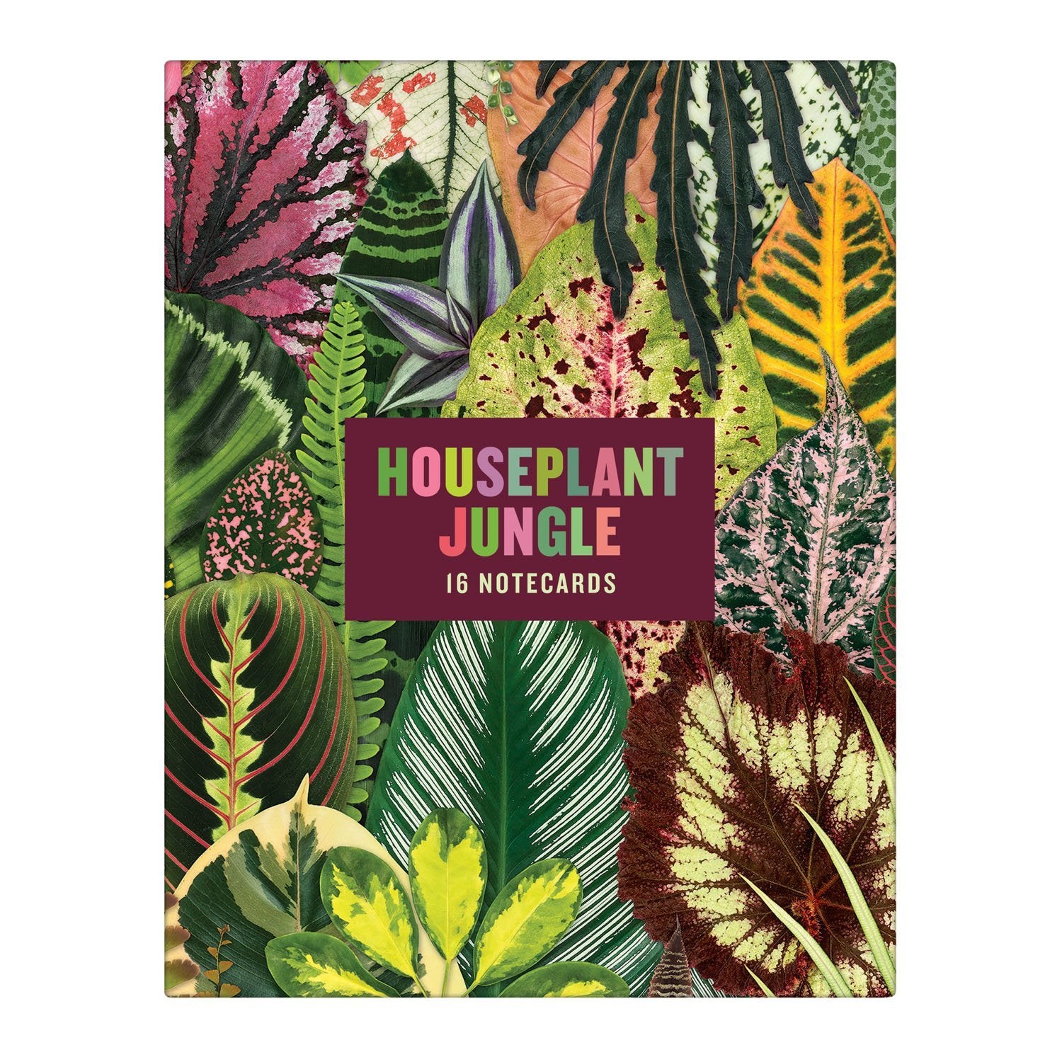 galison-houseplant-jungle-karten-set-16-troy-litten image 2