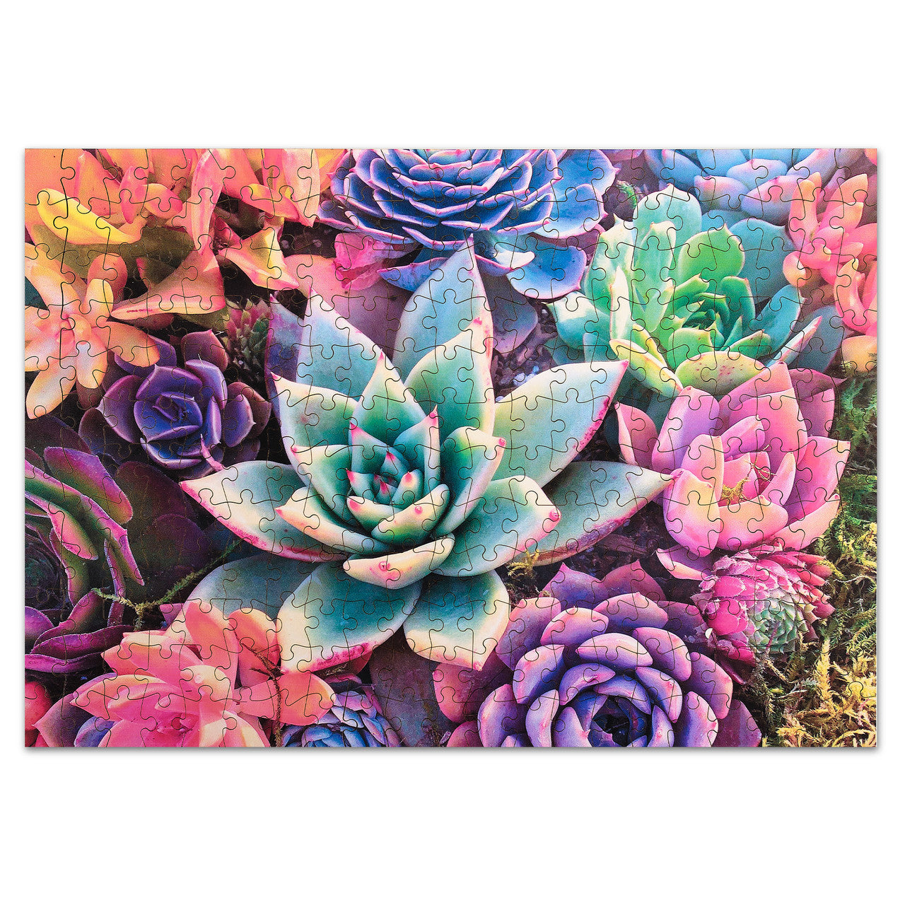 buffalo-games-simple-succulent-250-teile-holzpuzzle image 5
