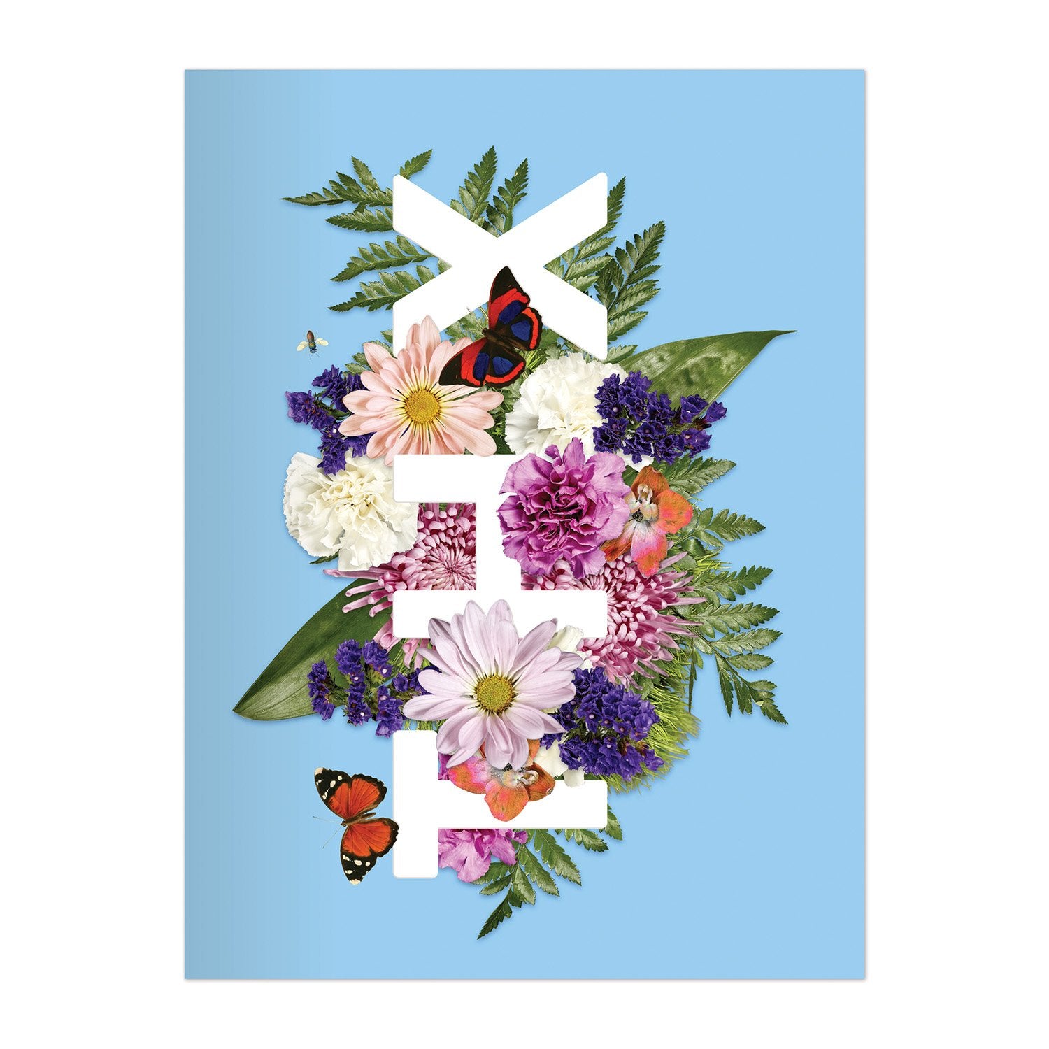 galison-say-it-with-flowers-kartenbox-16er-blumen image 7